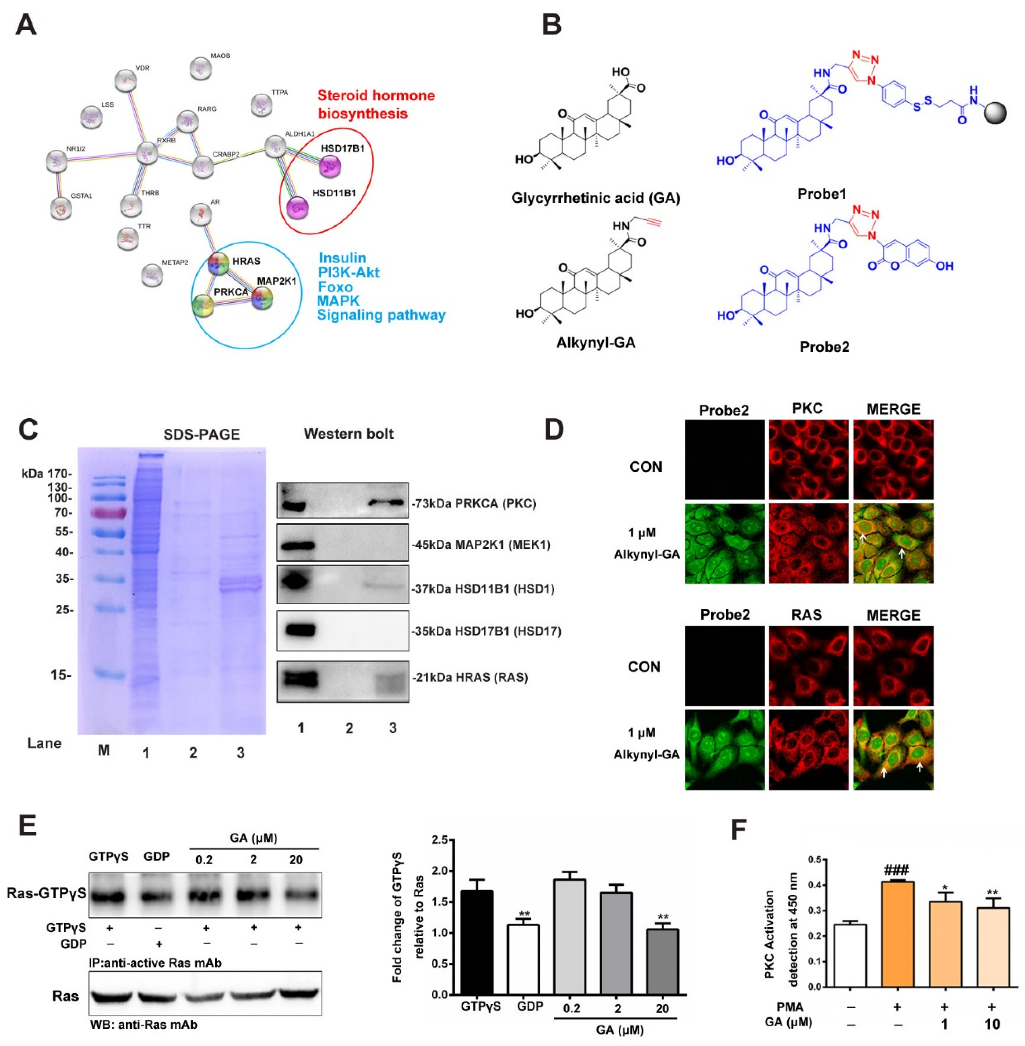 Nutrients 11 00604 g002