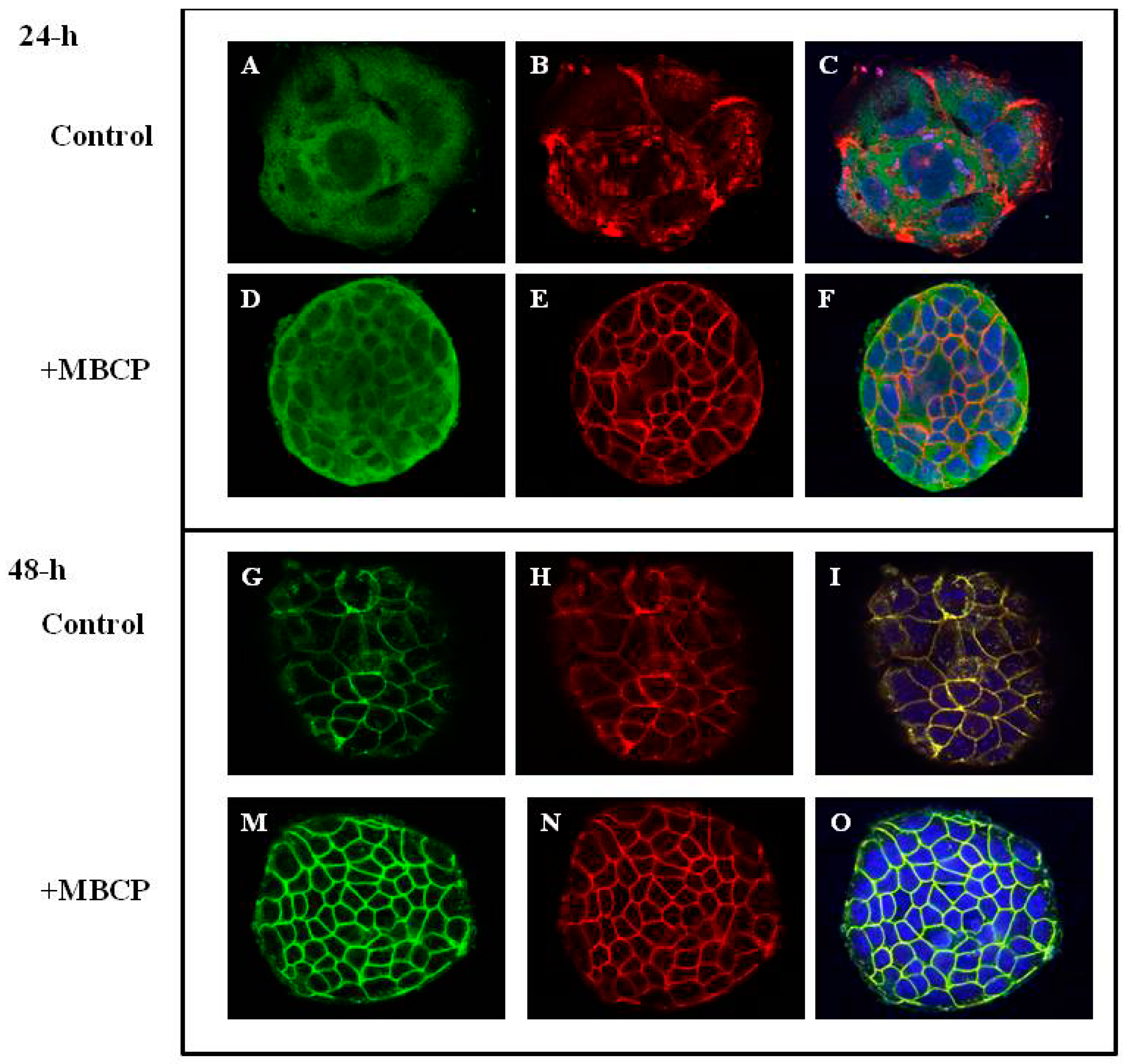Nutrients 11 00610 g002