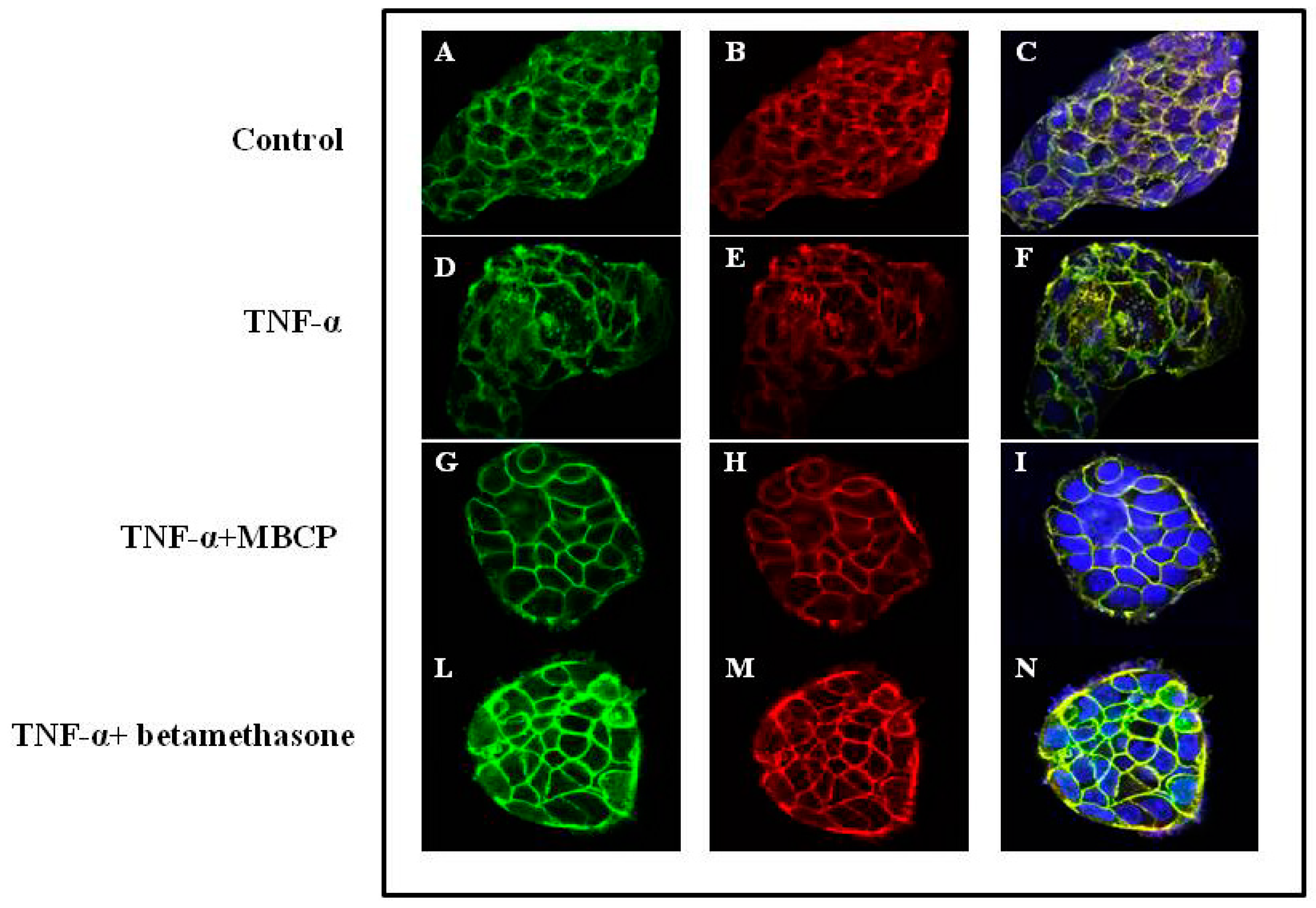 Nutrients 11 00610 g003