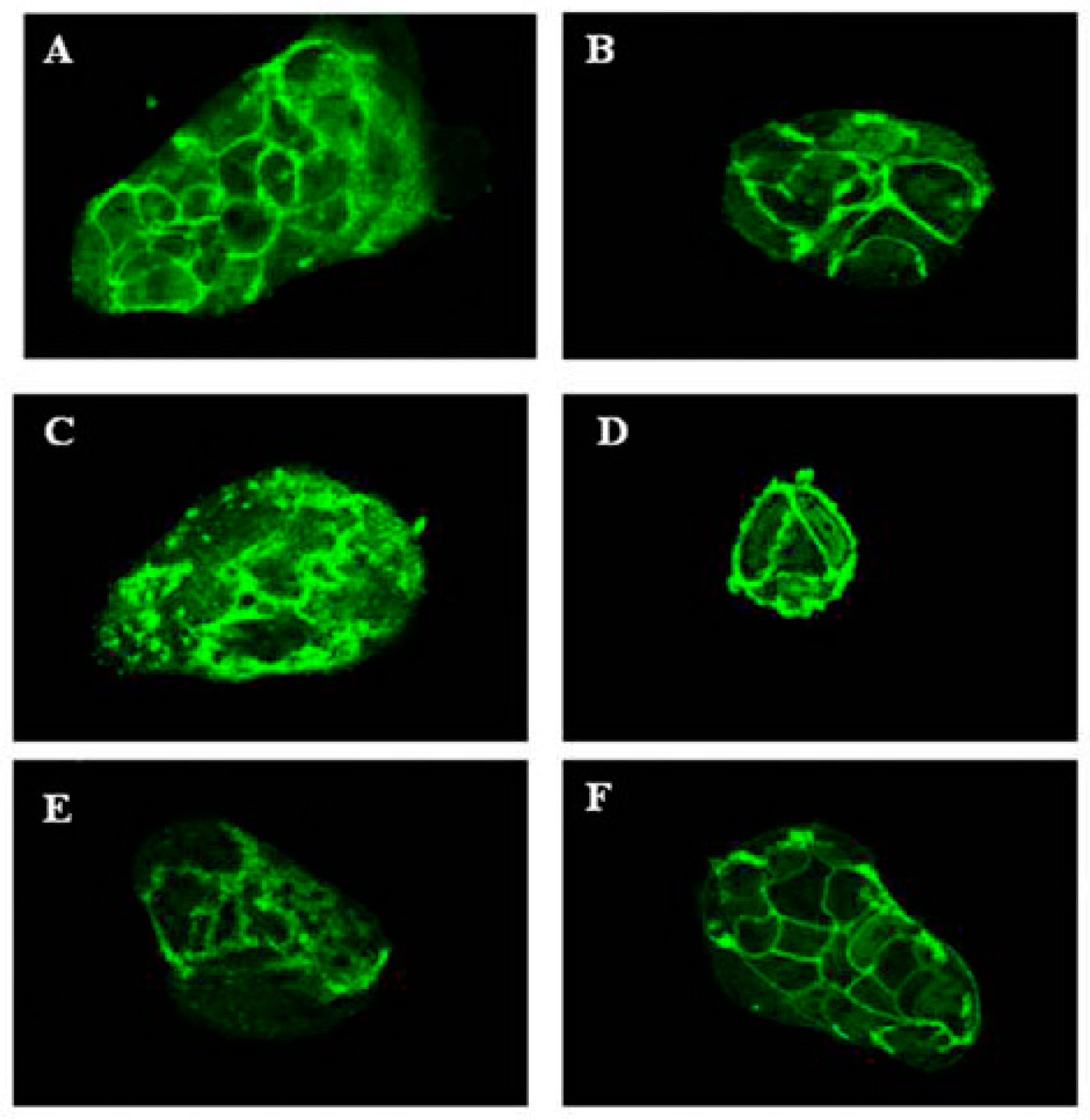 Nutrients 11 00610 g004
