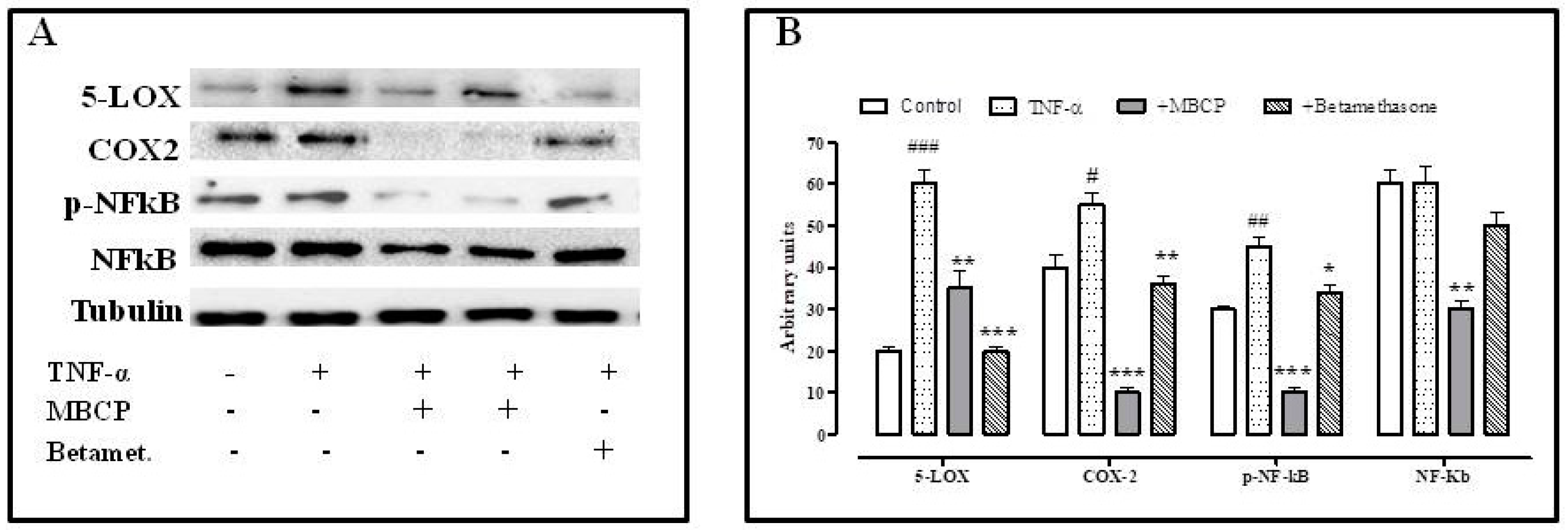 Nutrients 11 00610 g005