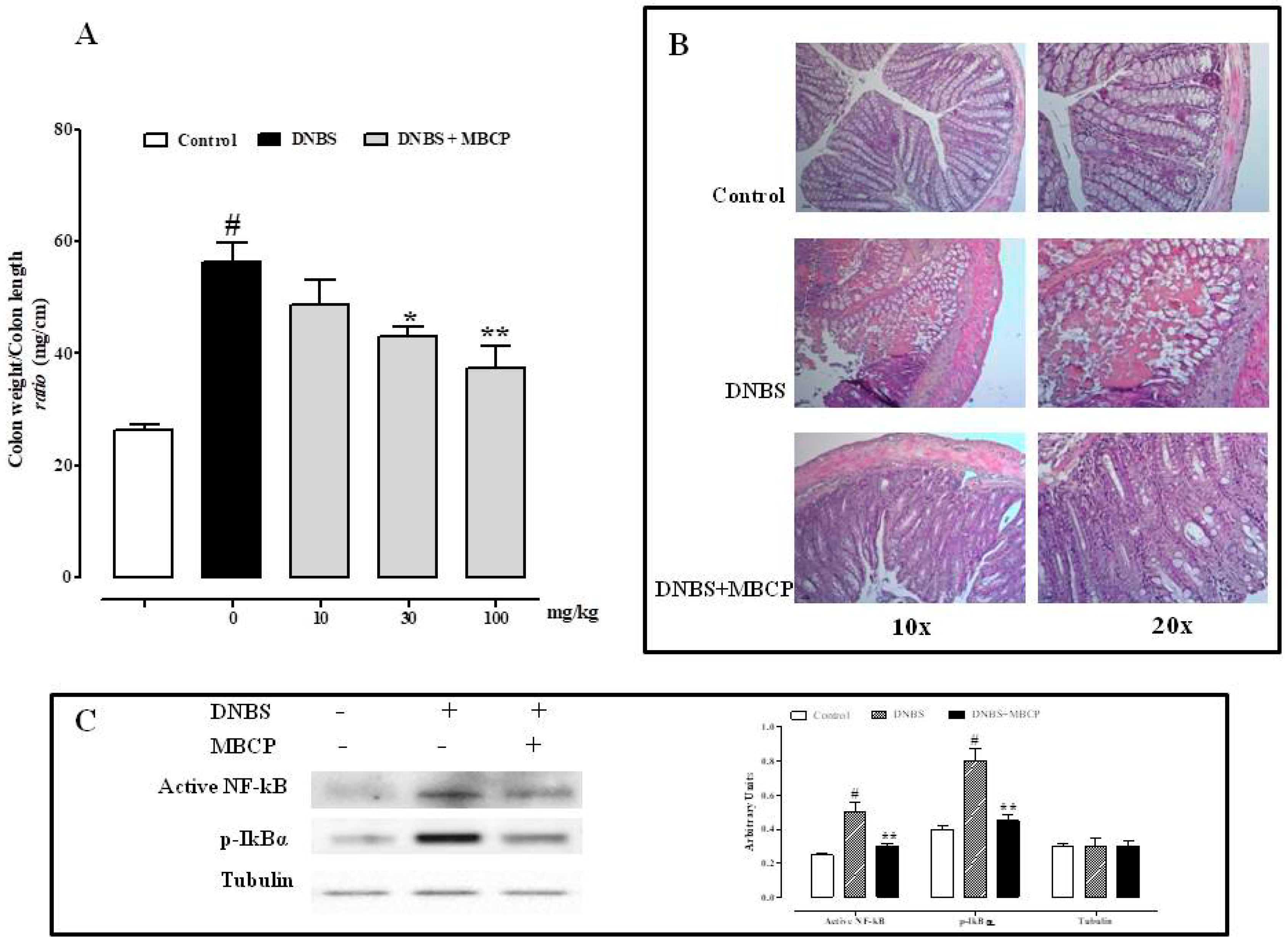 Nutrients 11 00610 g006