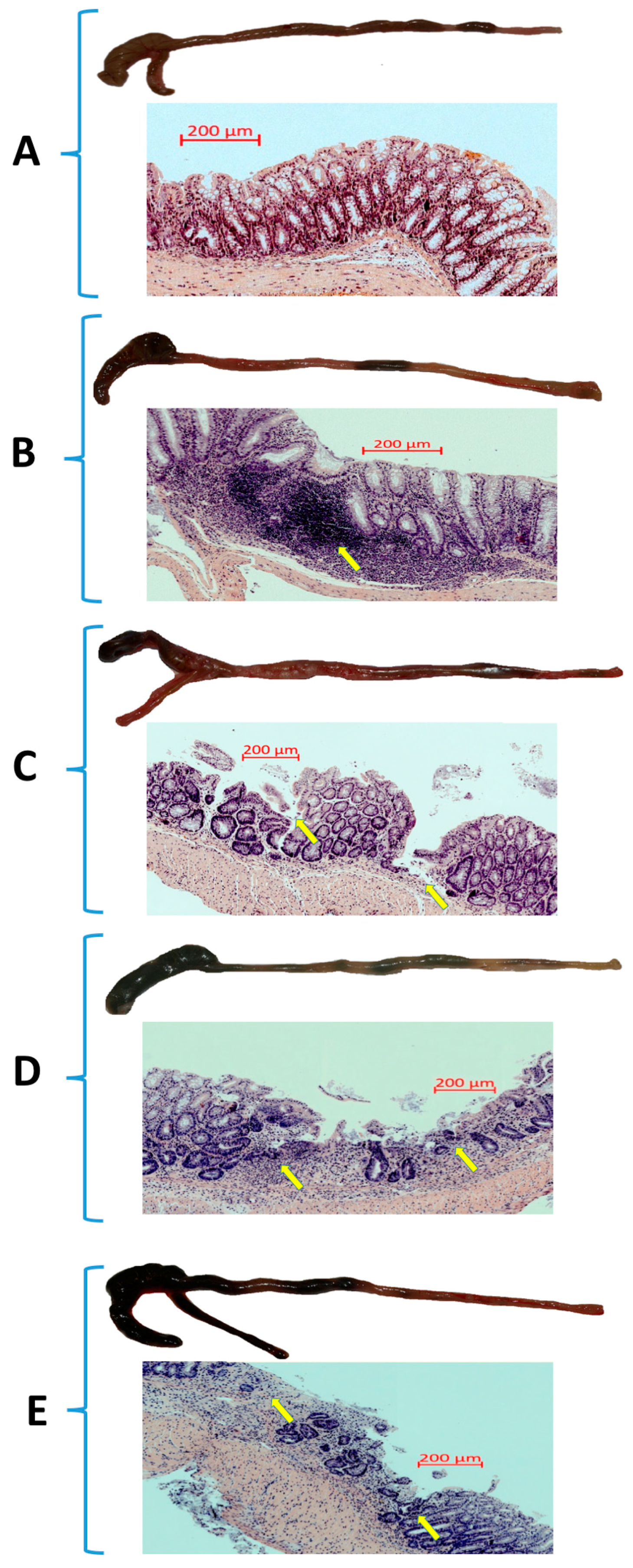Nutrients 11 01127 g002a