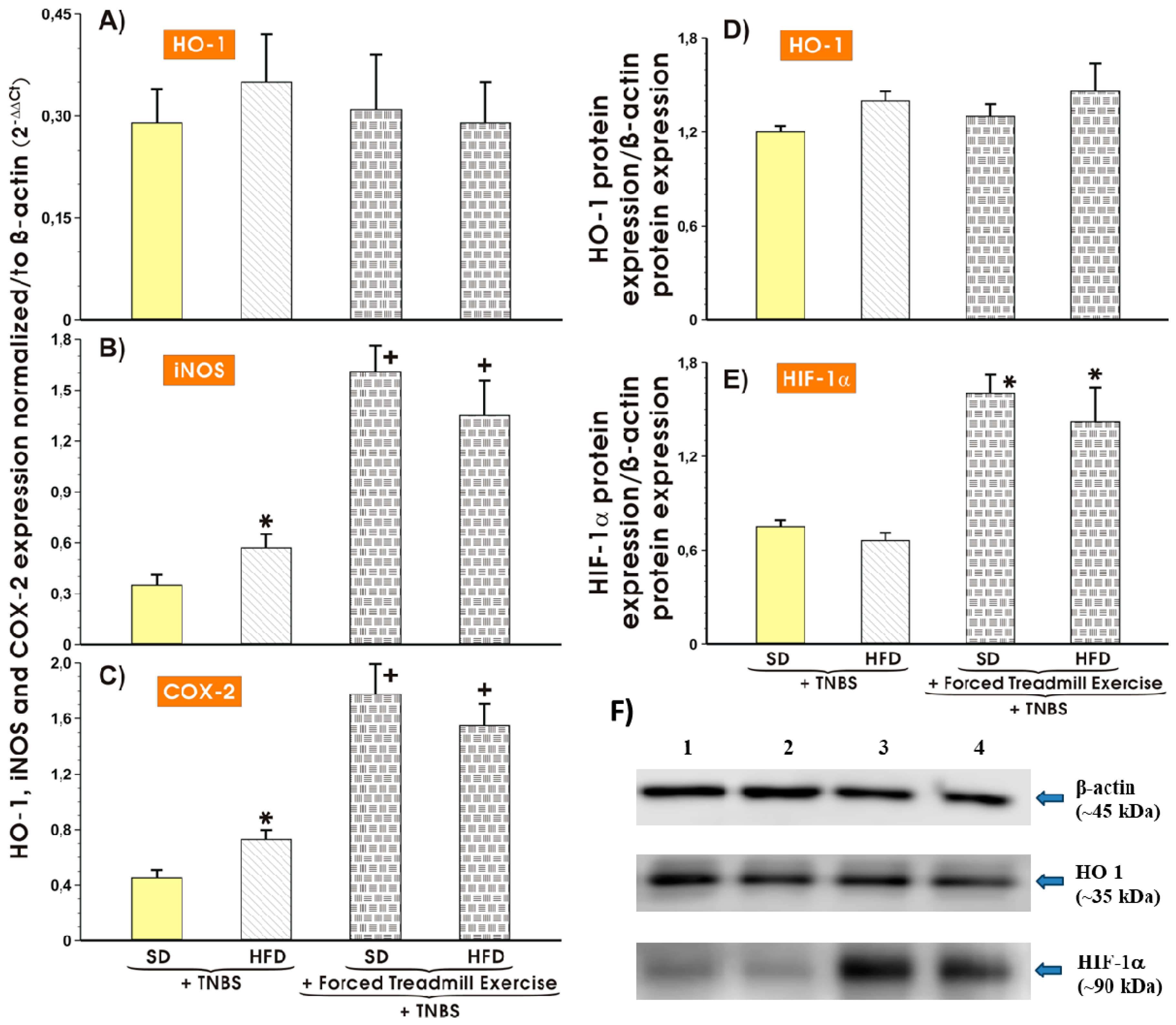 Nutrients 11 01127 g006