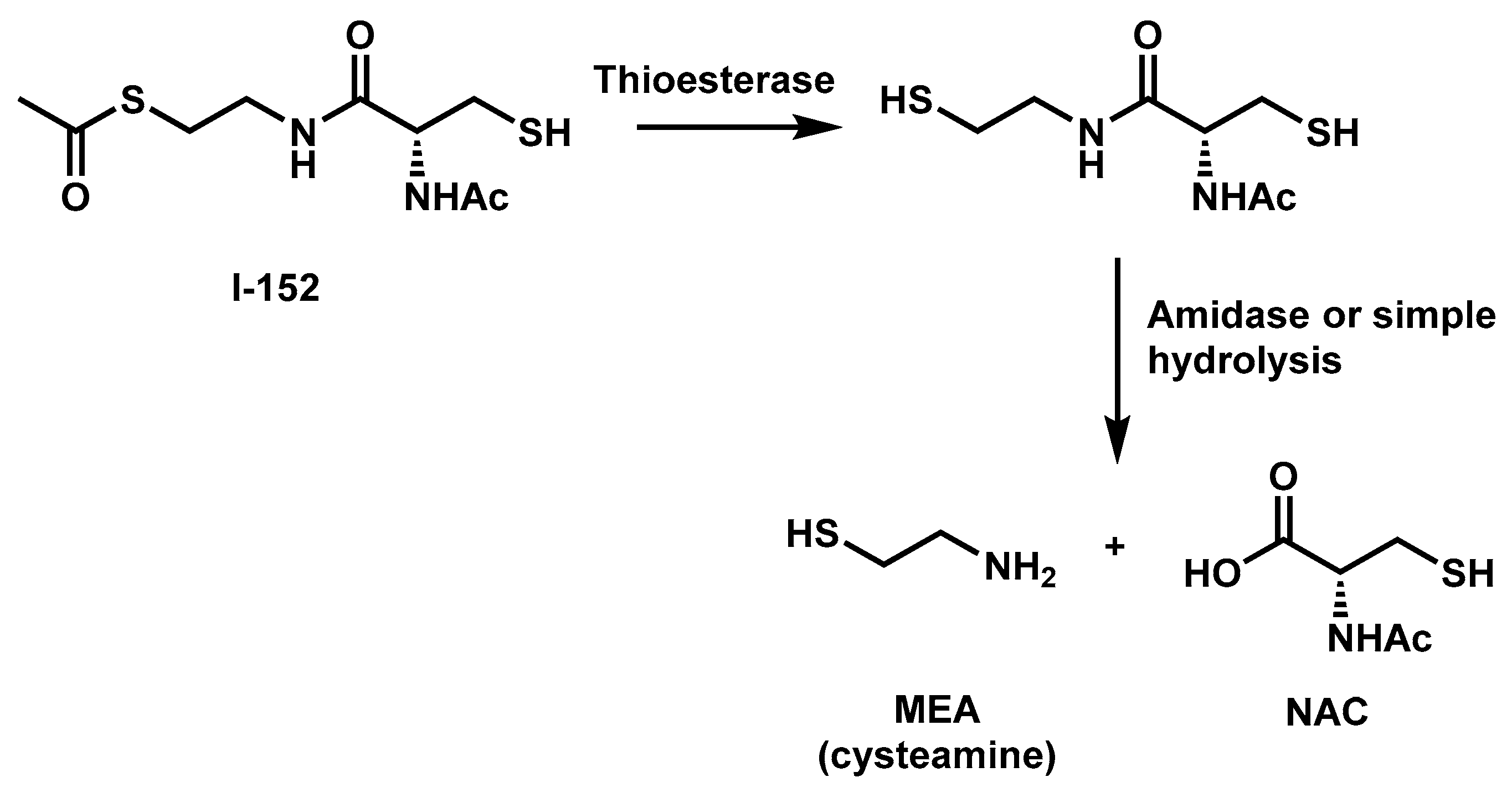 Nutrients 11 01291 g001