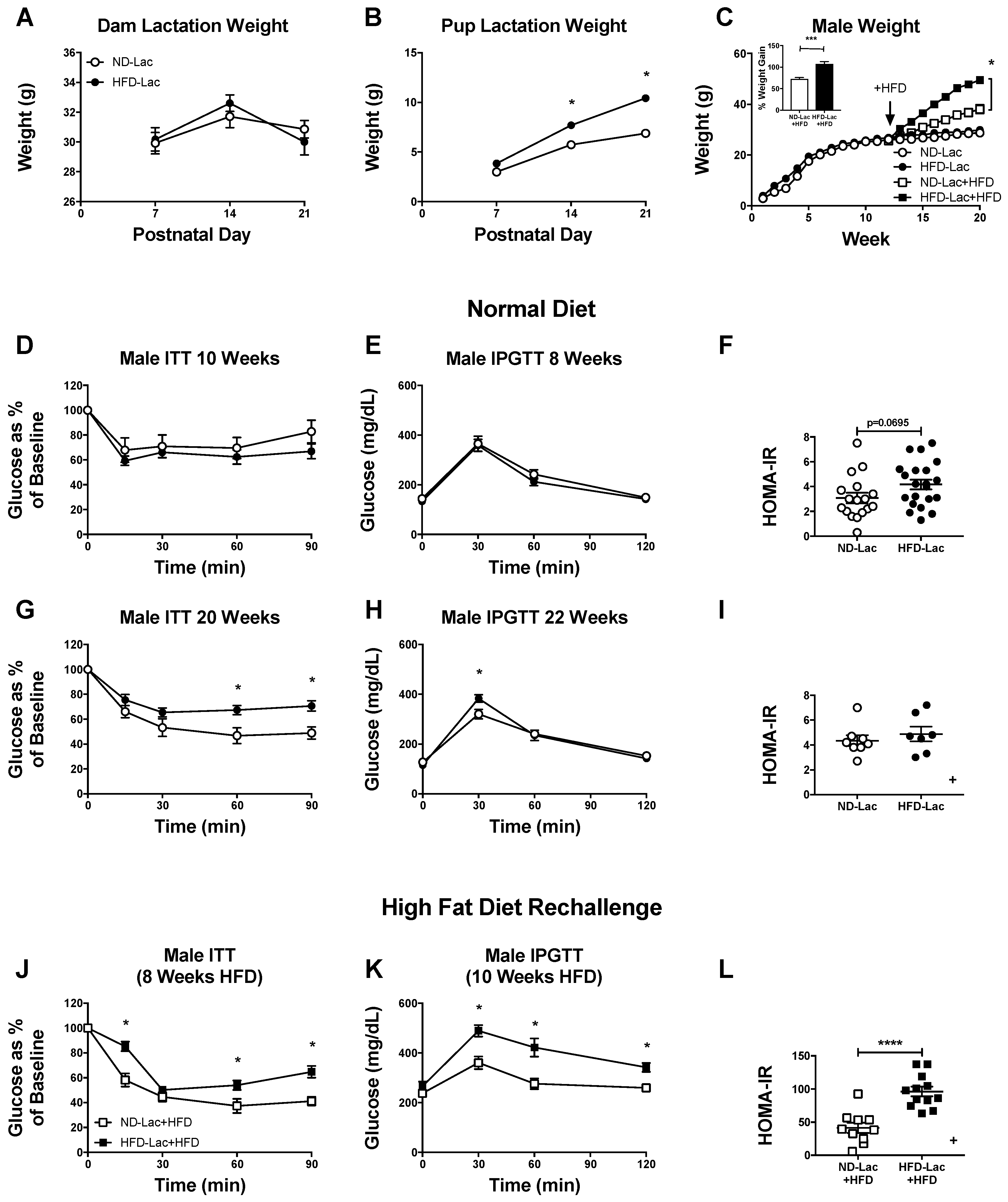 Nutrients 11 01393 g001