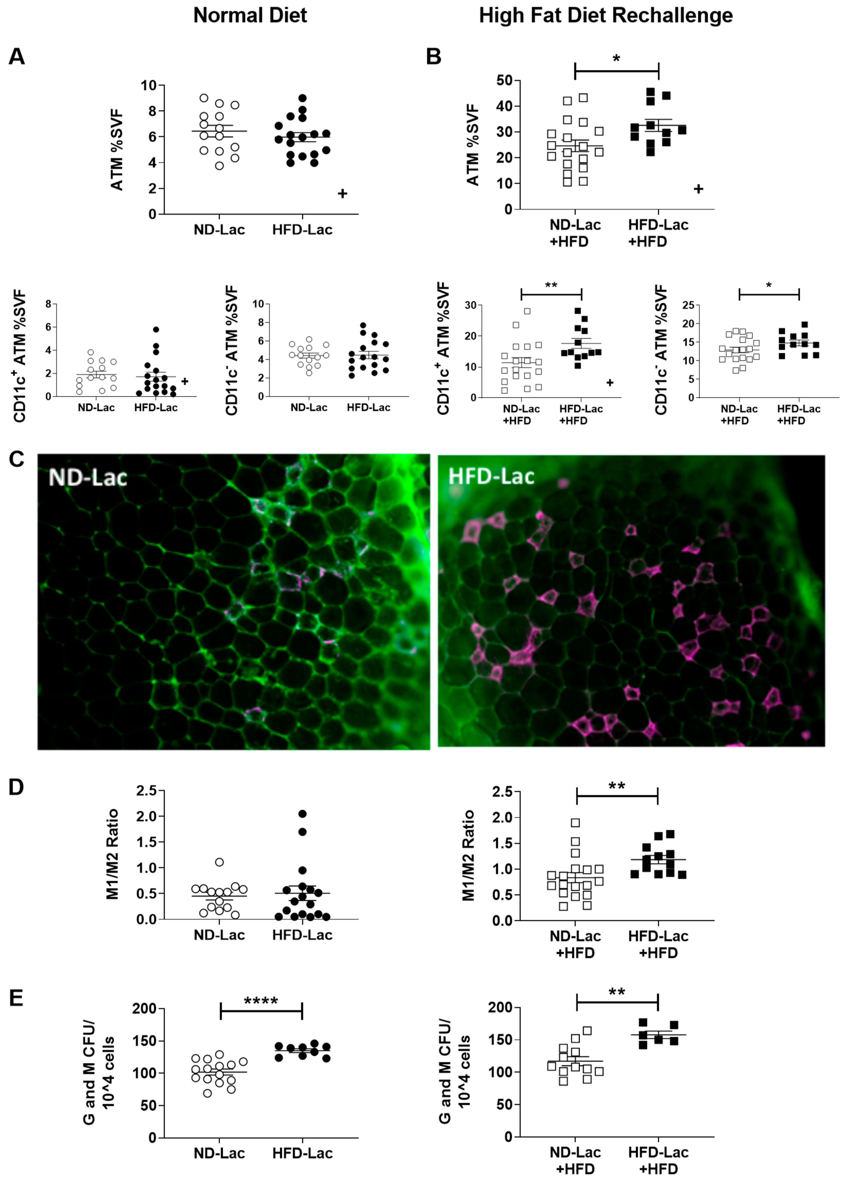 Nutrients 11 01393 g004