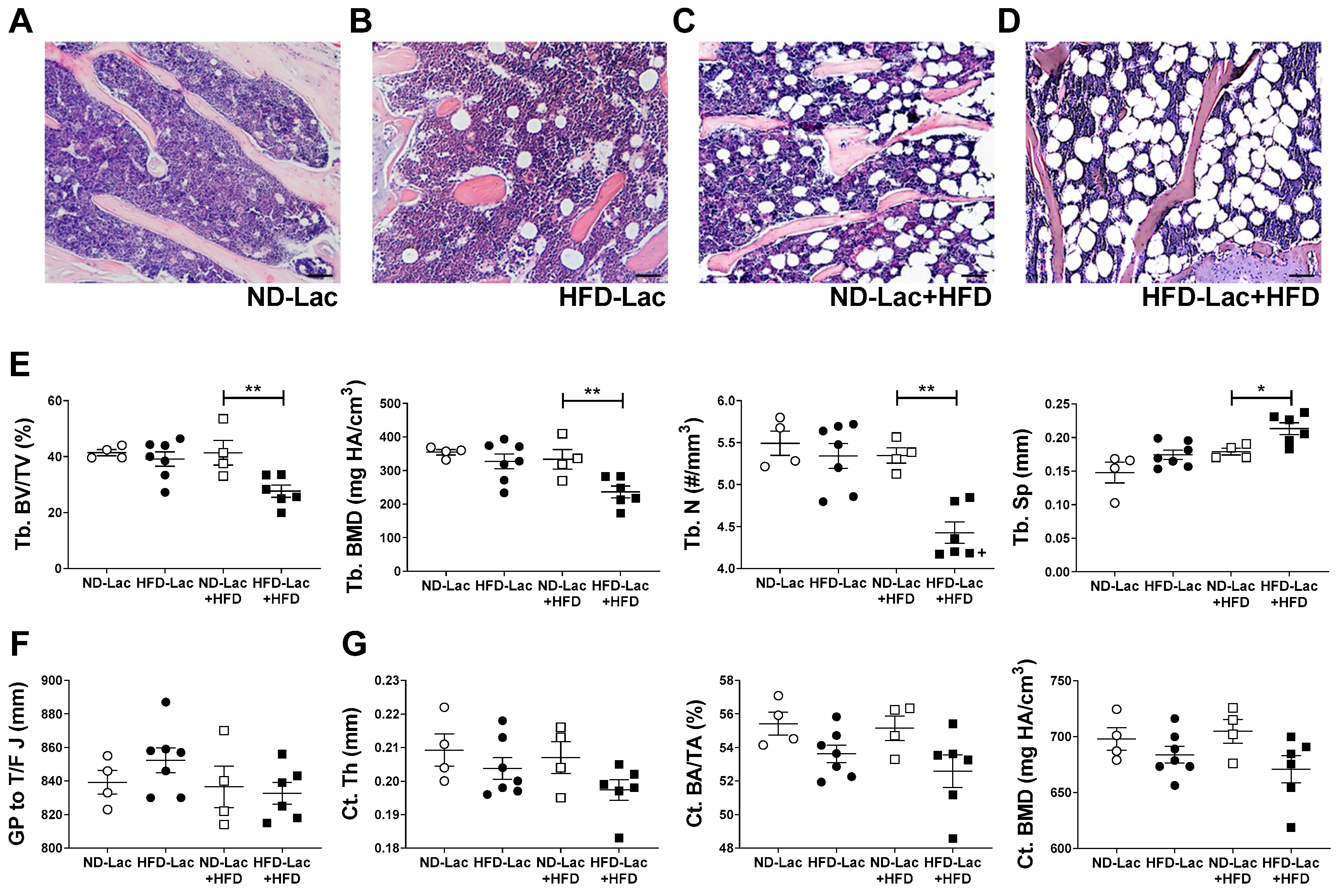 Nutrients 11 01393 g005