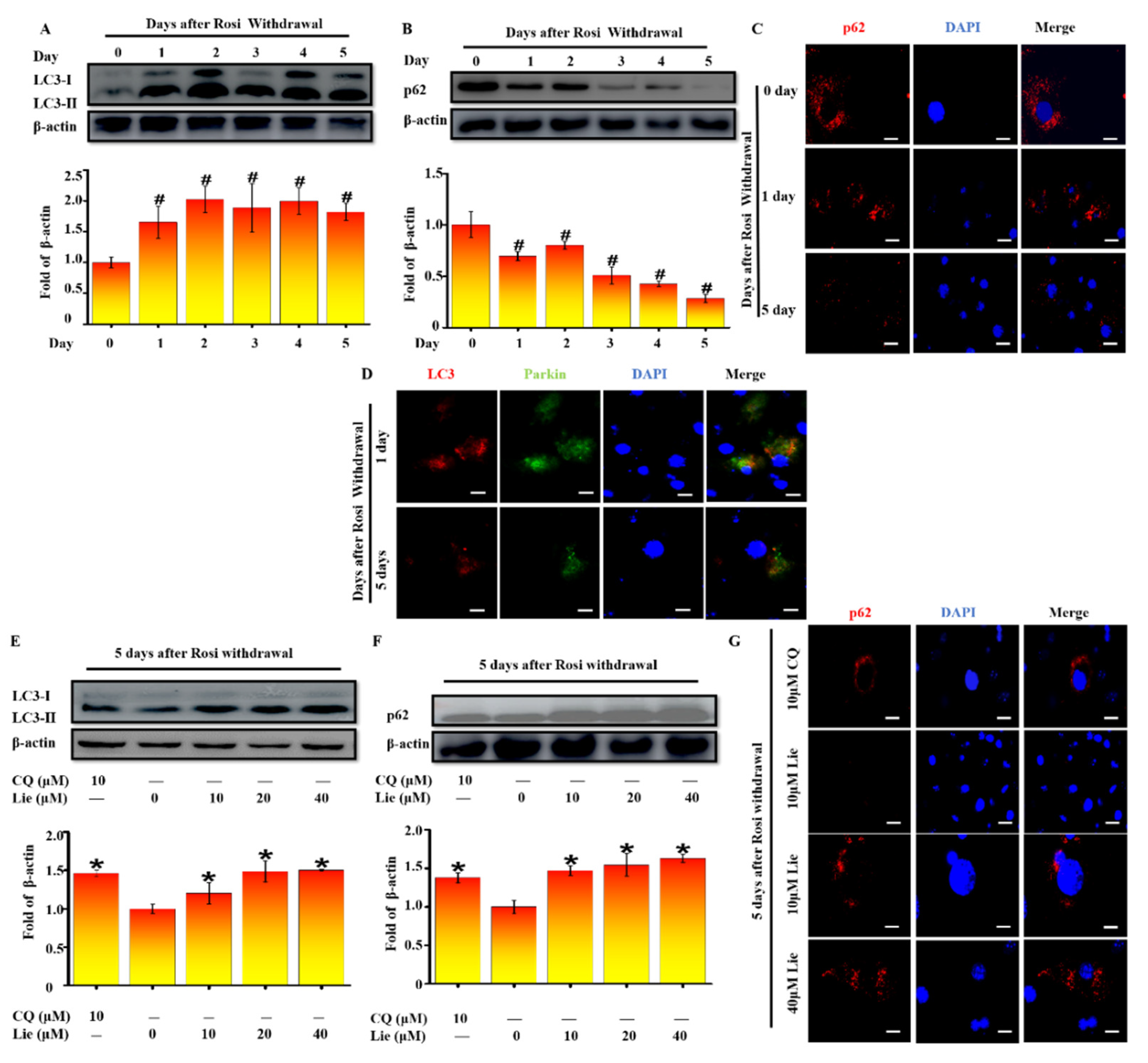 Nutrients 11 01640 g002