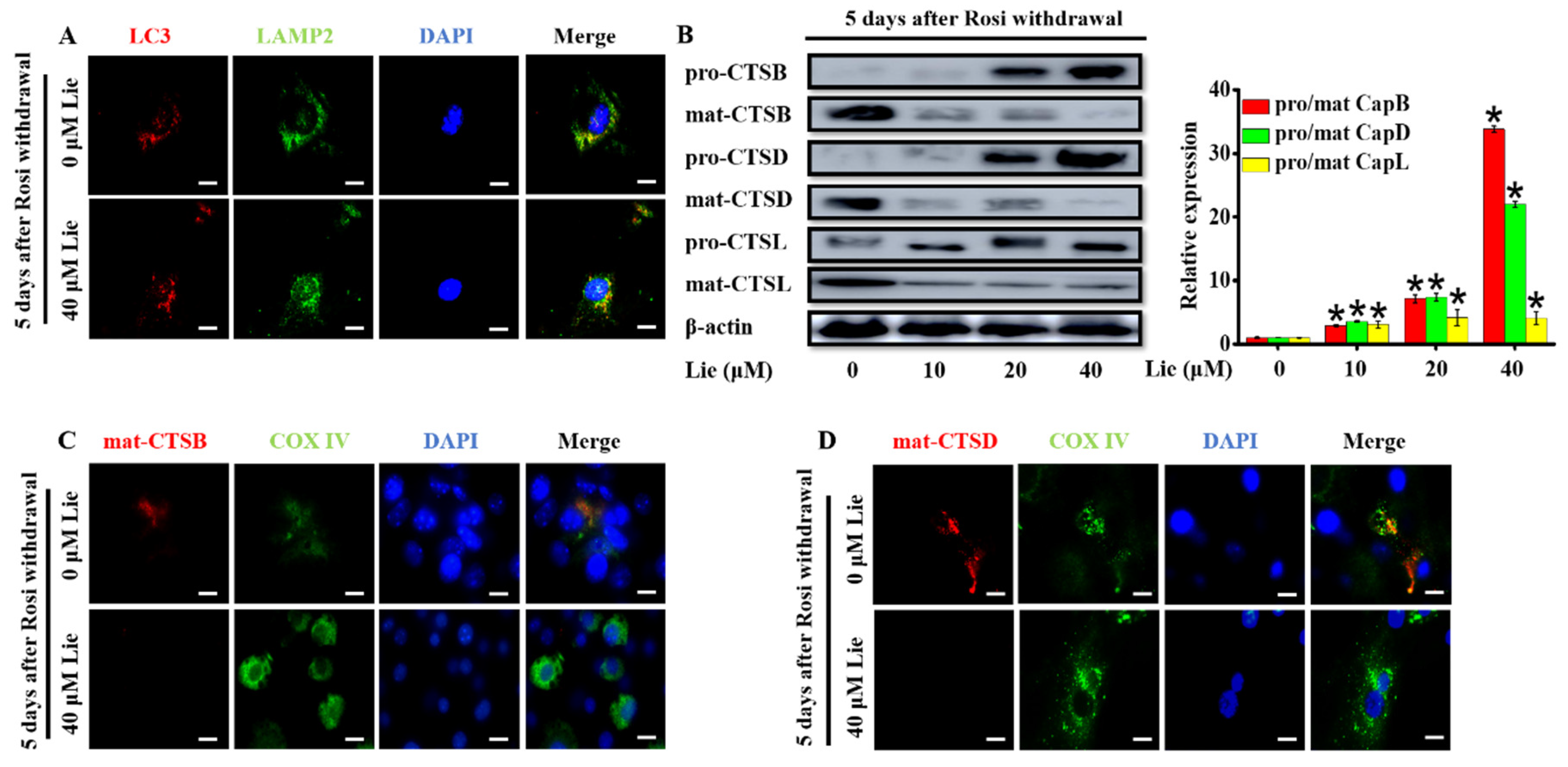 Nutrients 11 01640 g003