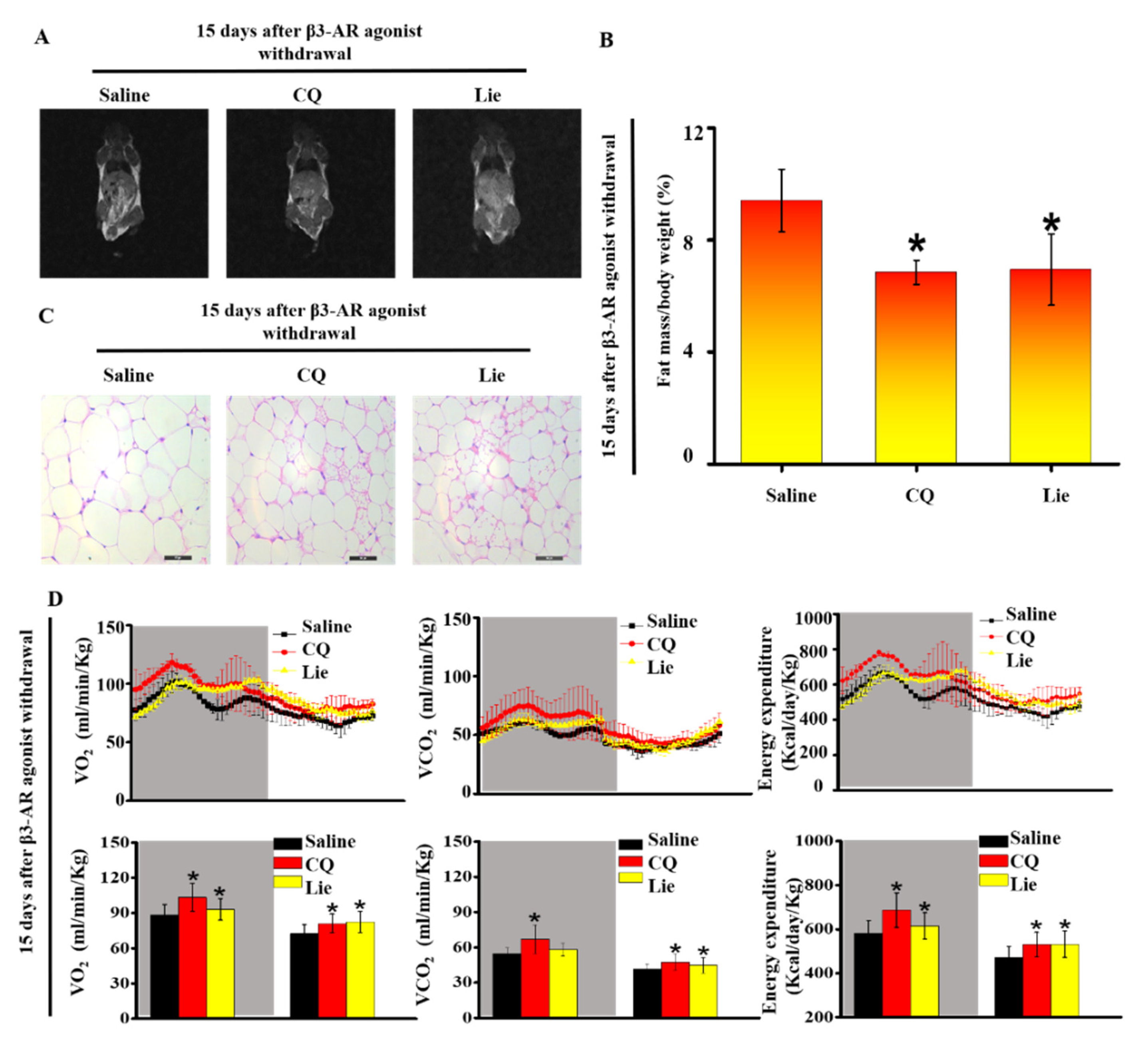 Nutrients 11 01640 g005