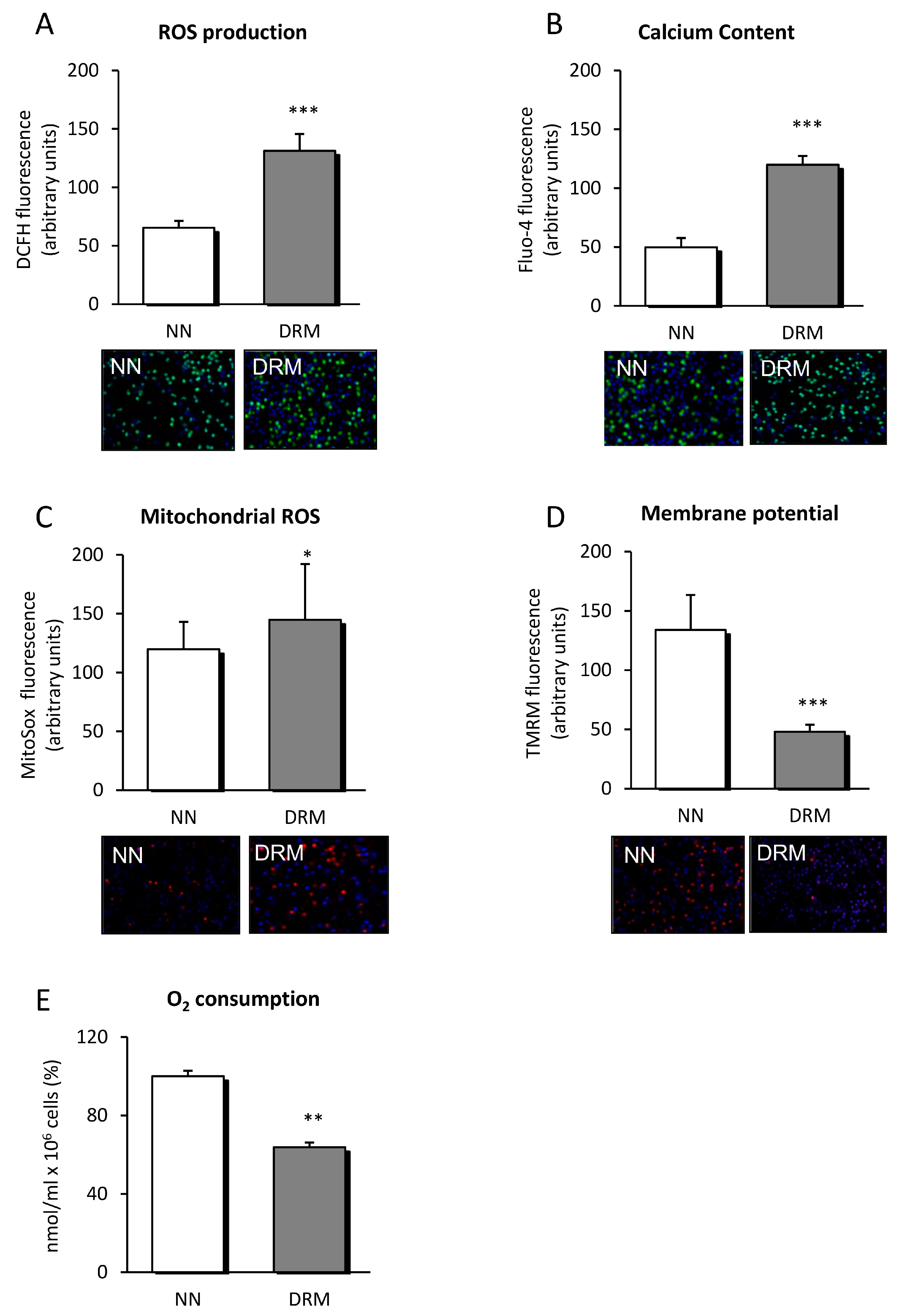 Nutrients 11 01838 g002