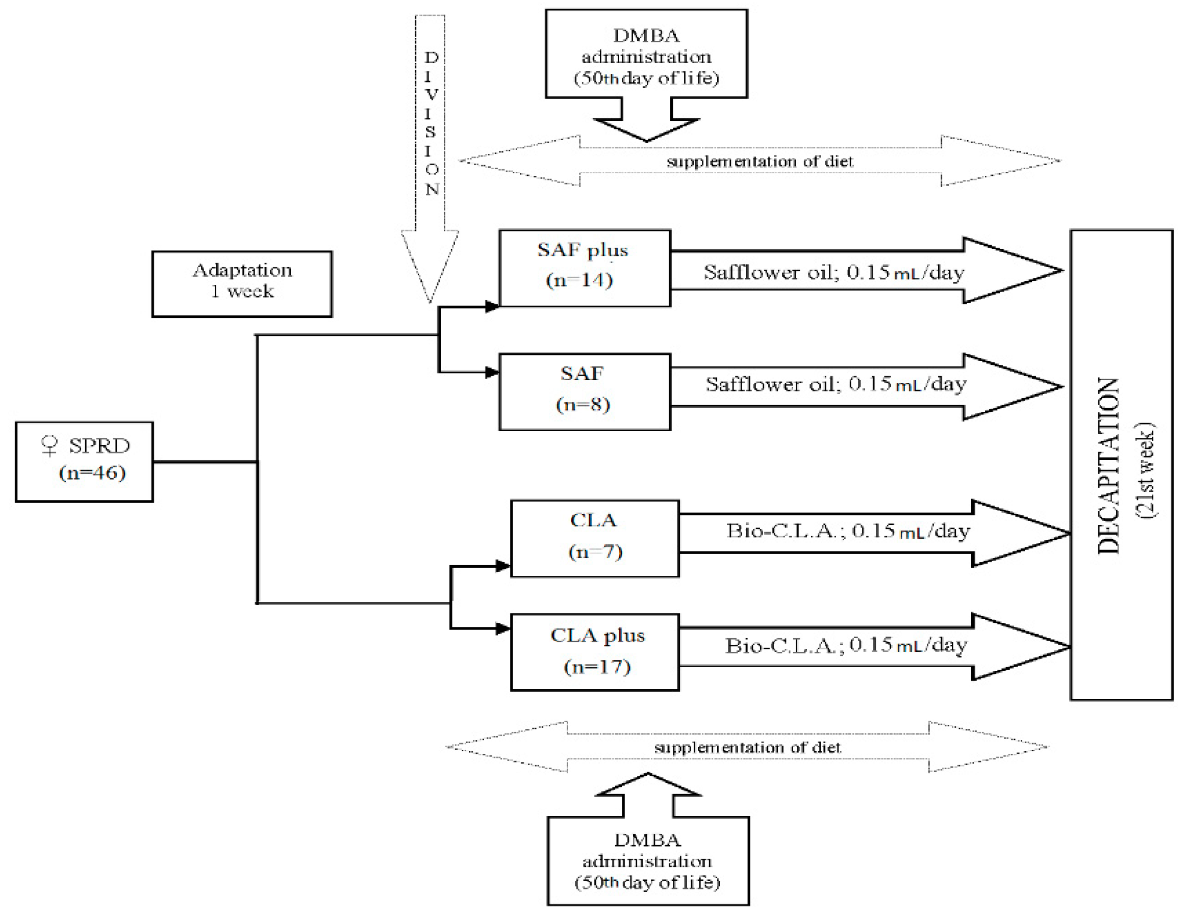 Nutrients 11 02032 g001