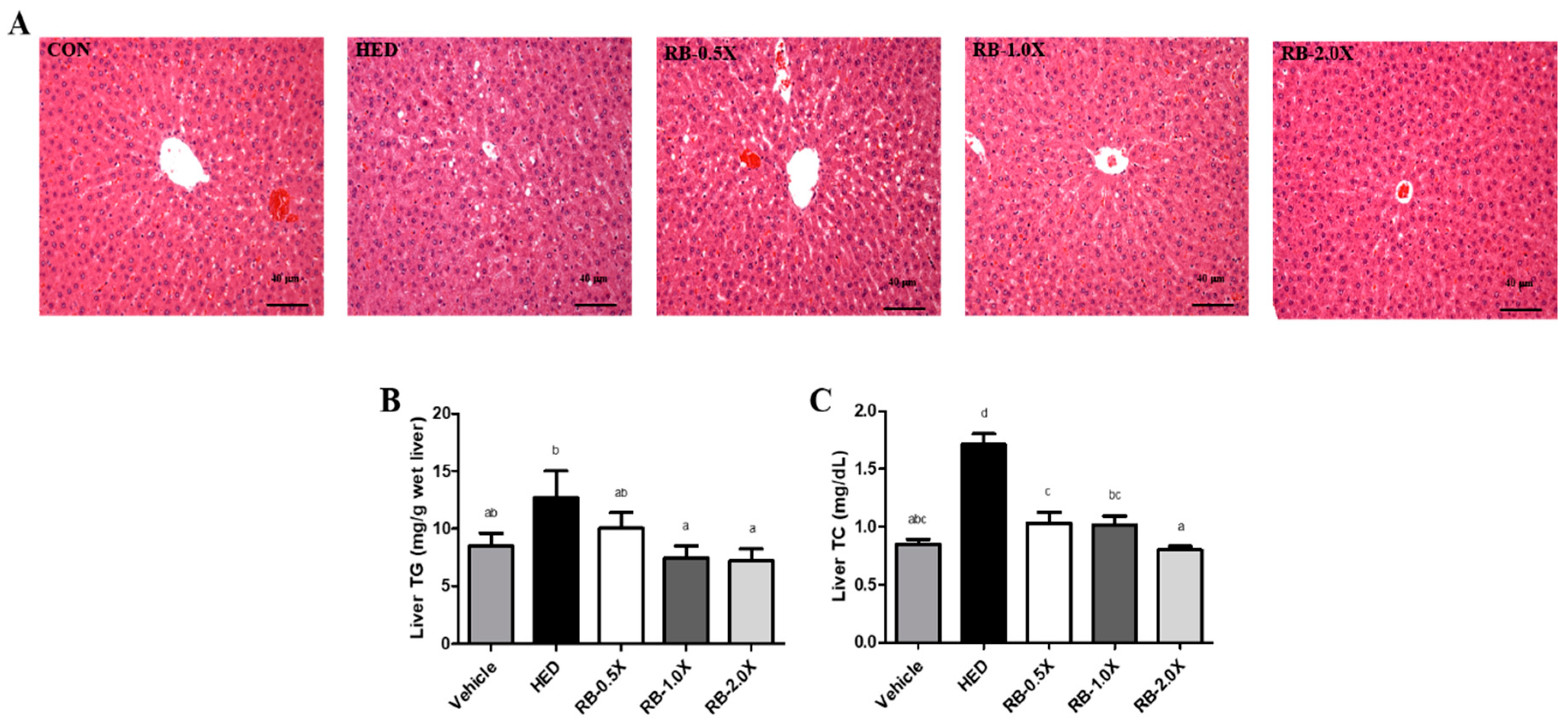 Nutrients 11 02033 g001 Nutrients 11 02033 g001