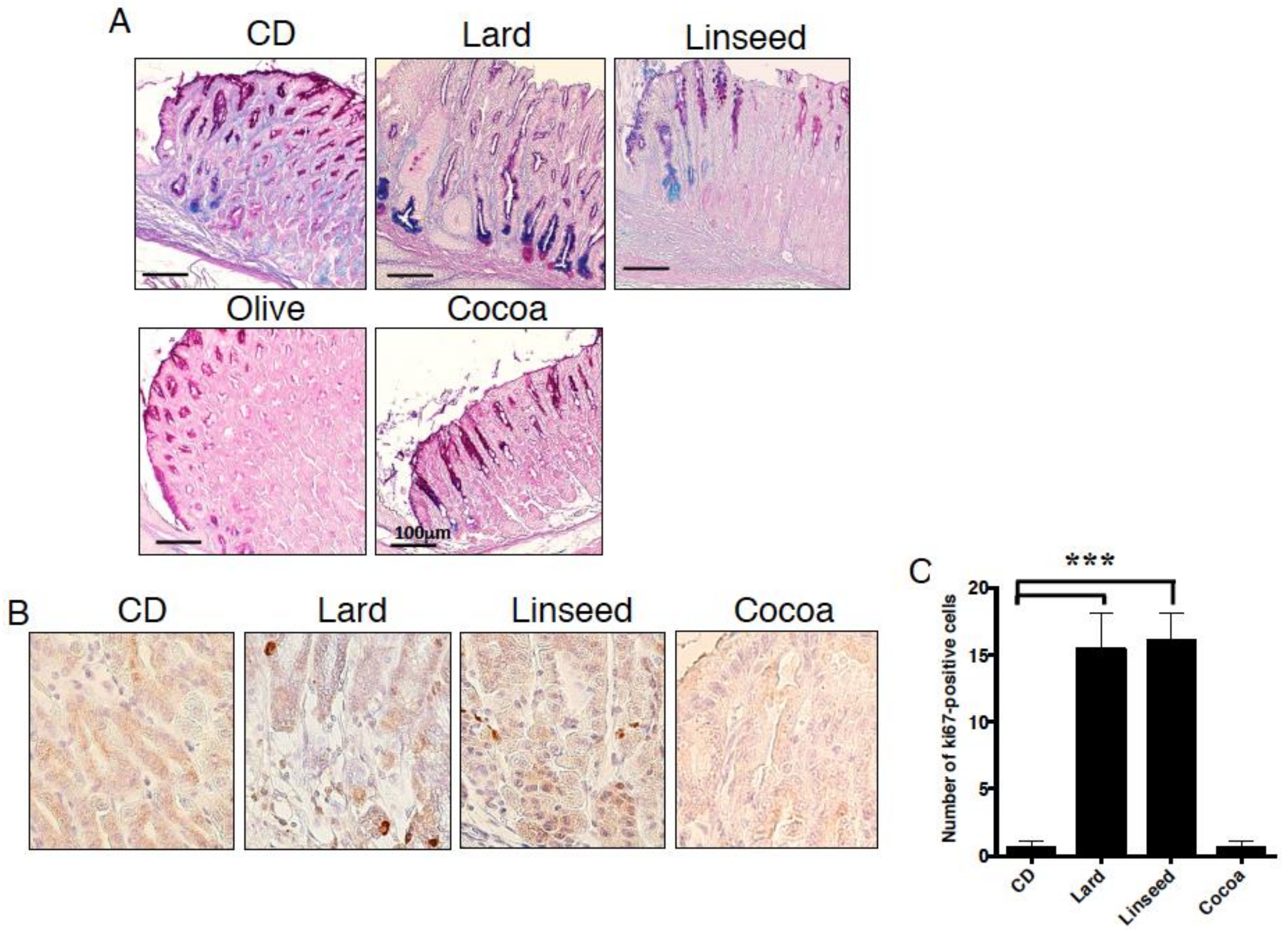 Nutrients 11 02127 g008