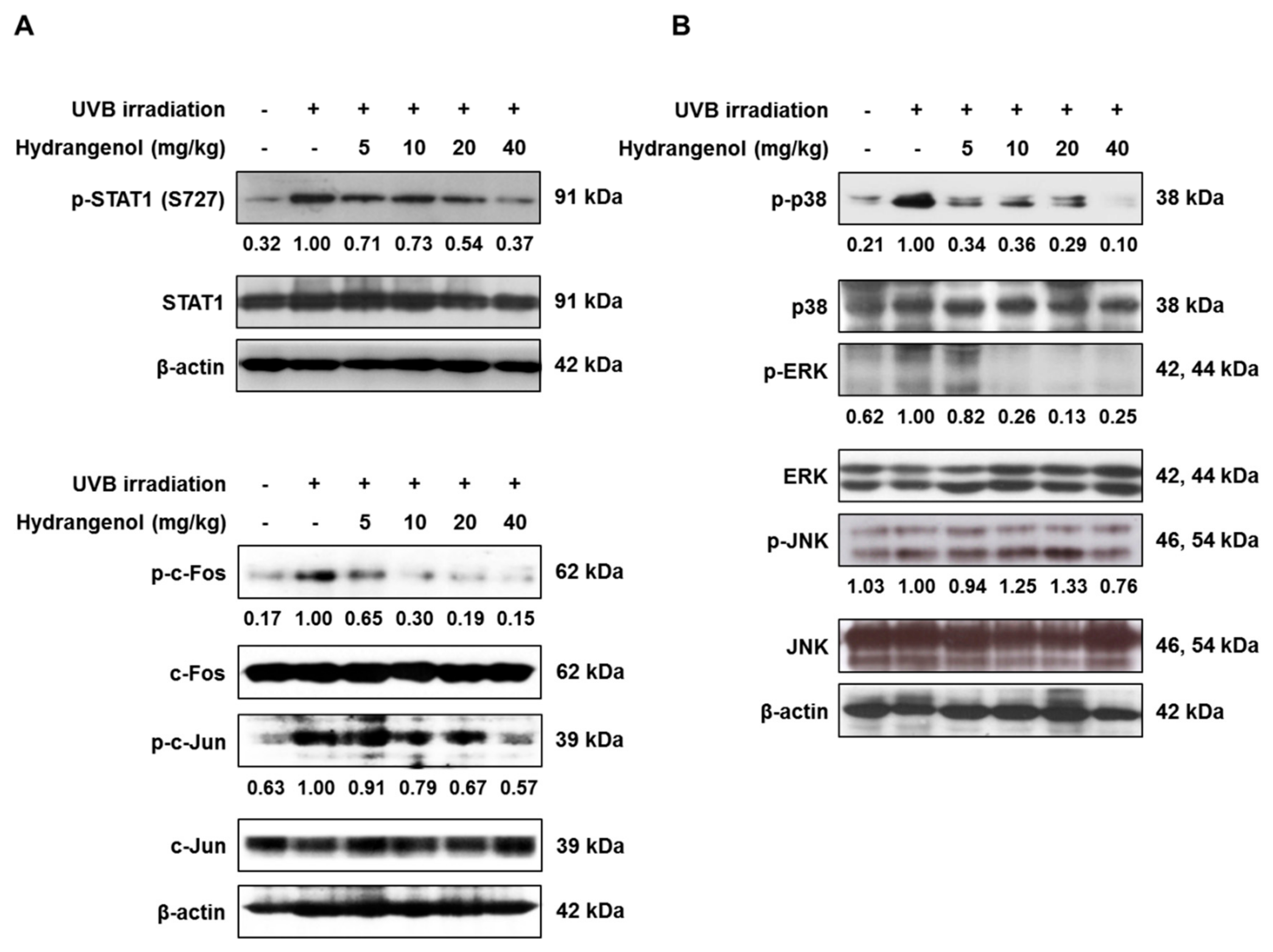 Nutrients 11 02354 g007