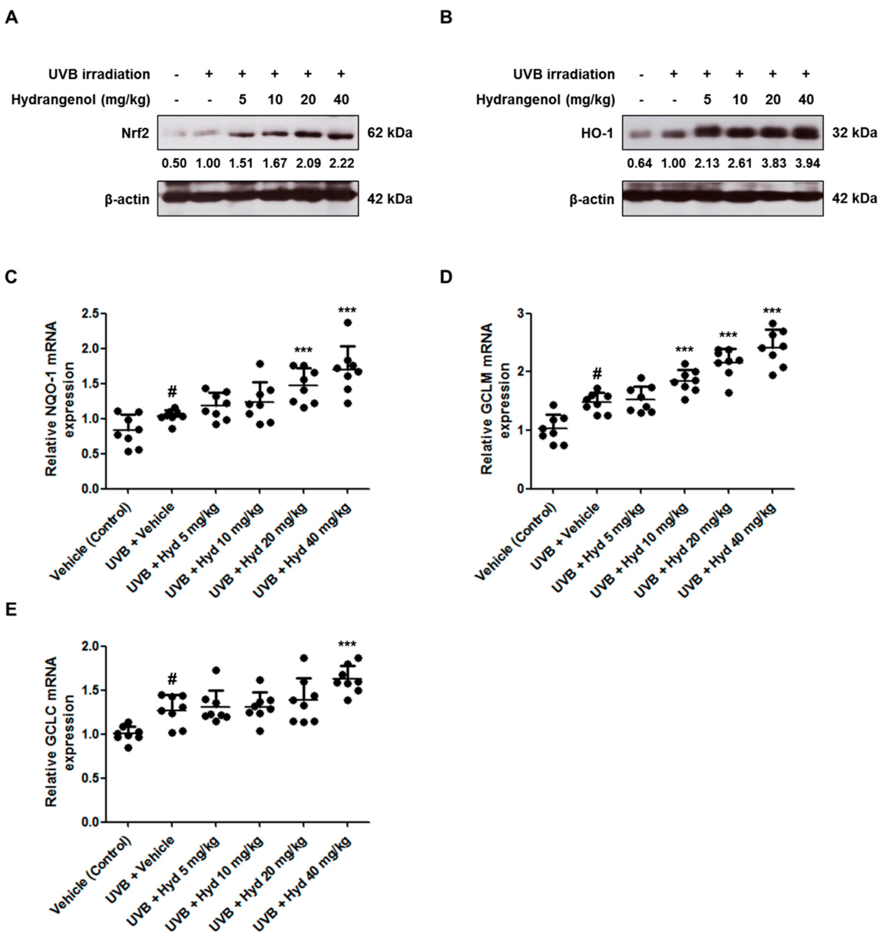 Nutrients 11 02354 g008