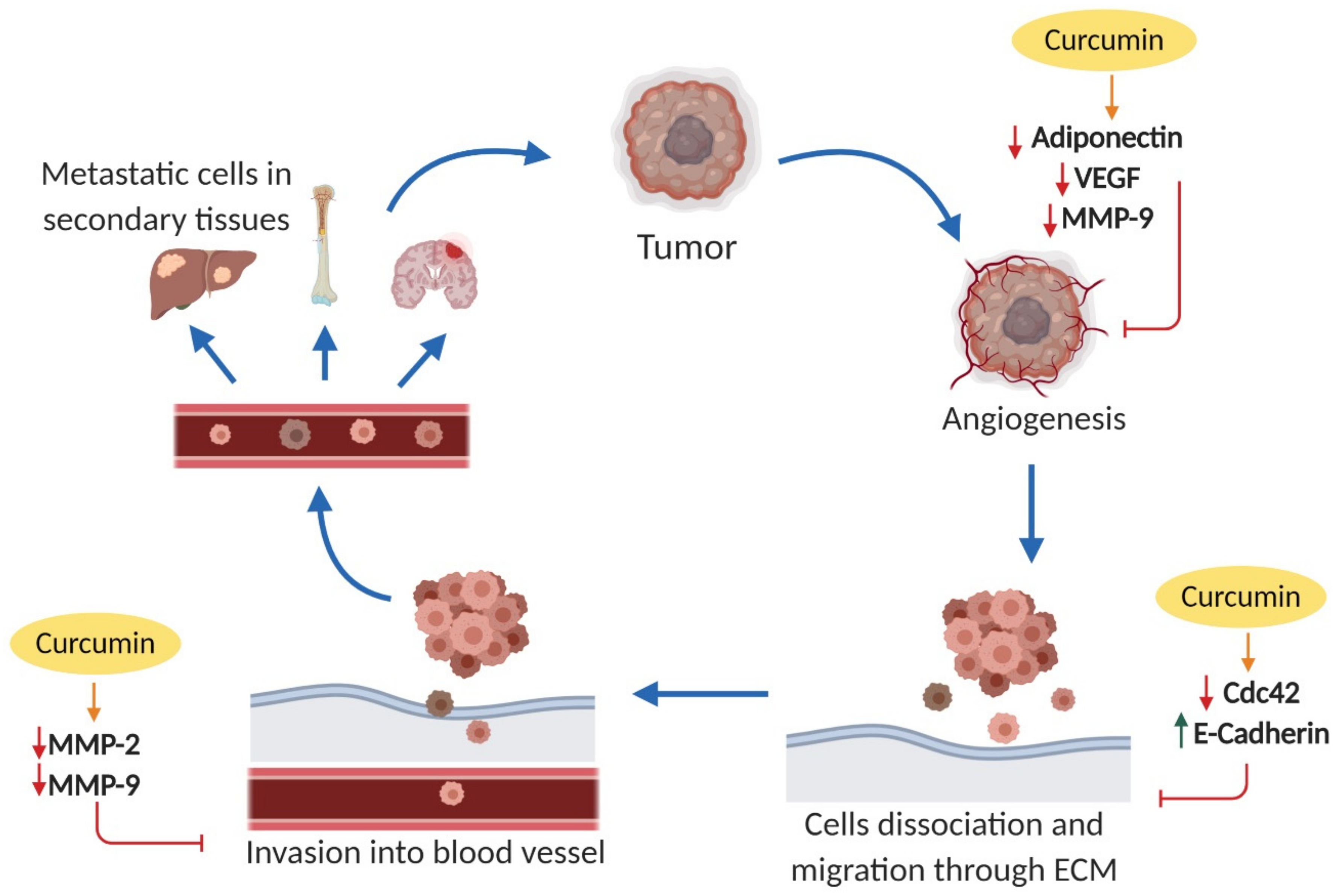 Nutrients 11 02989 g003 Nutrients 11 02989 g003