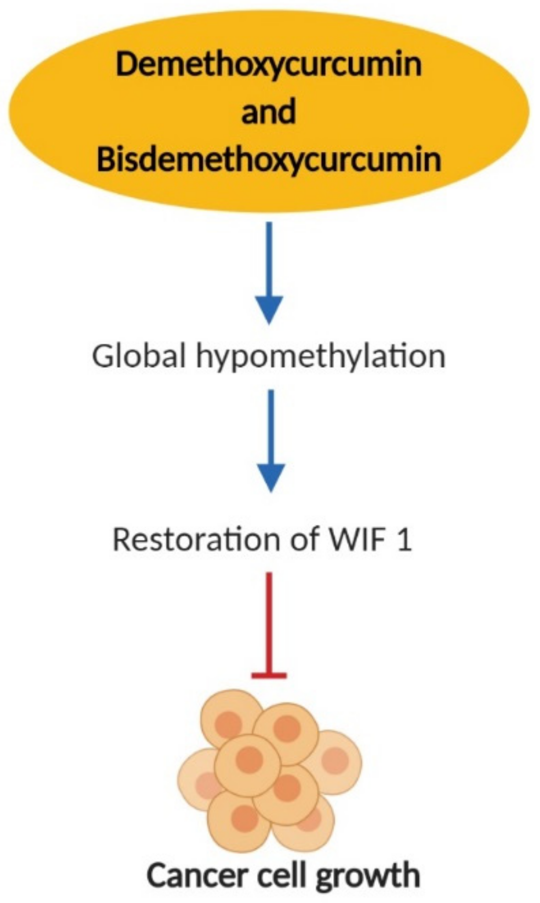Nutrients 11 02989 g004 Nutrients 11 02989 g004