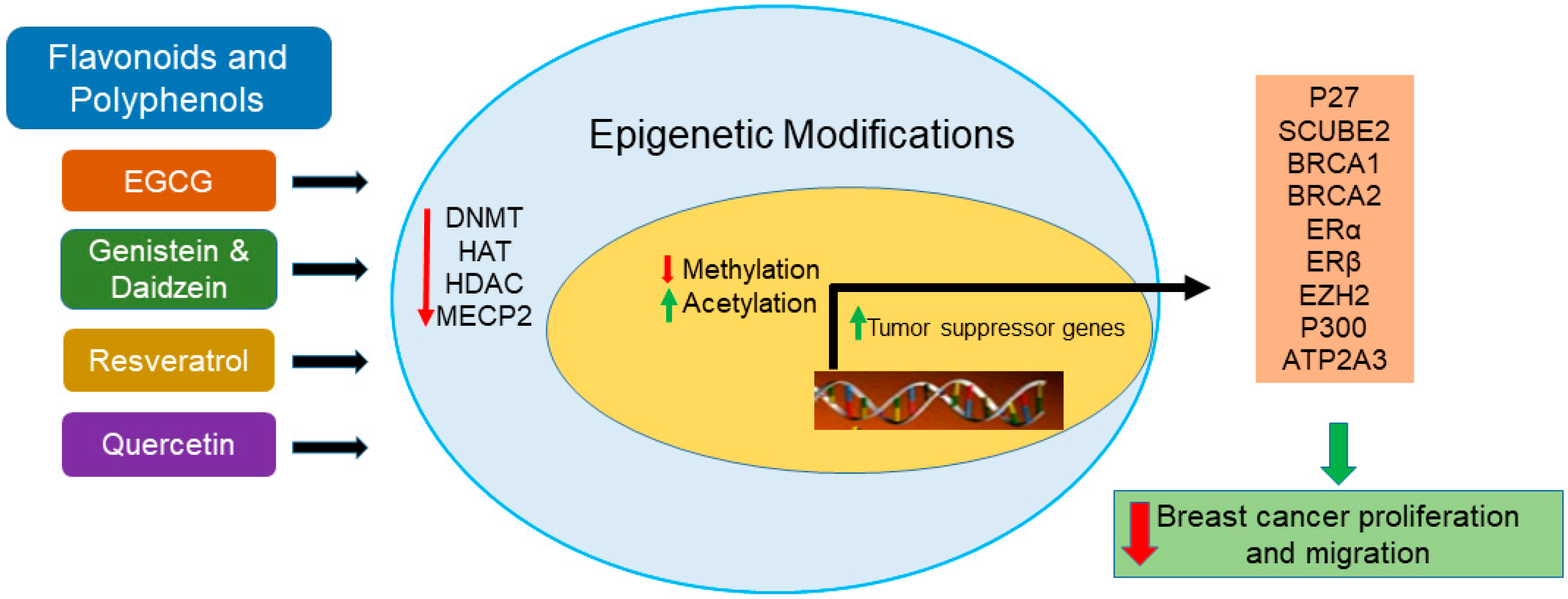 Nutrients 12 00761 g001