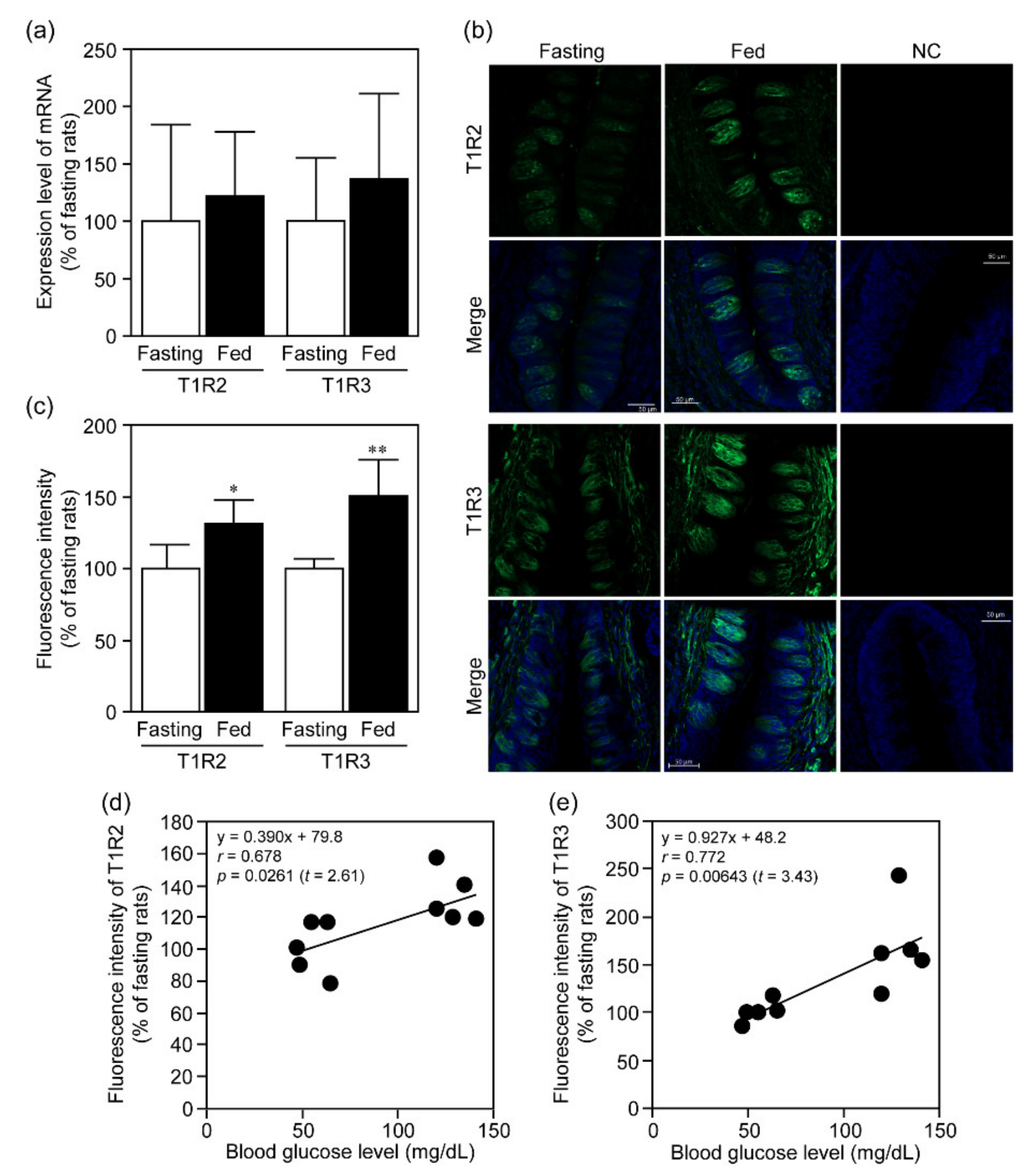 Nutrients 12 00990 g002 Nutrients 12 00990 g002