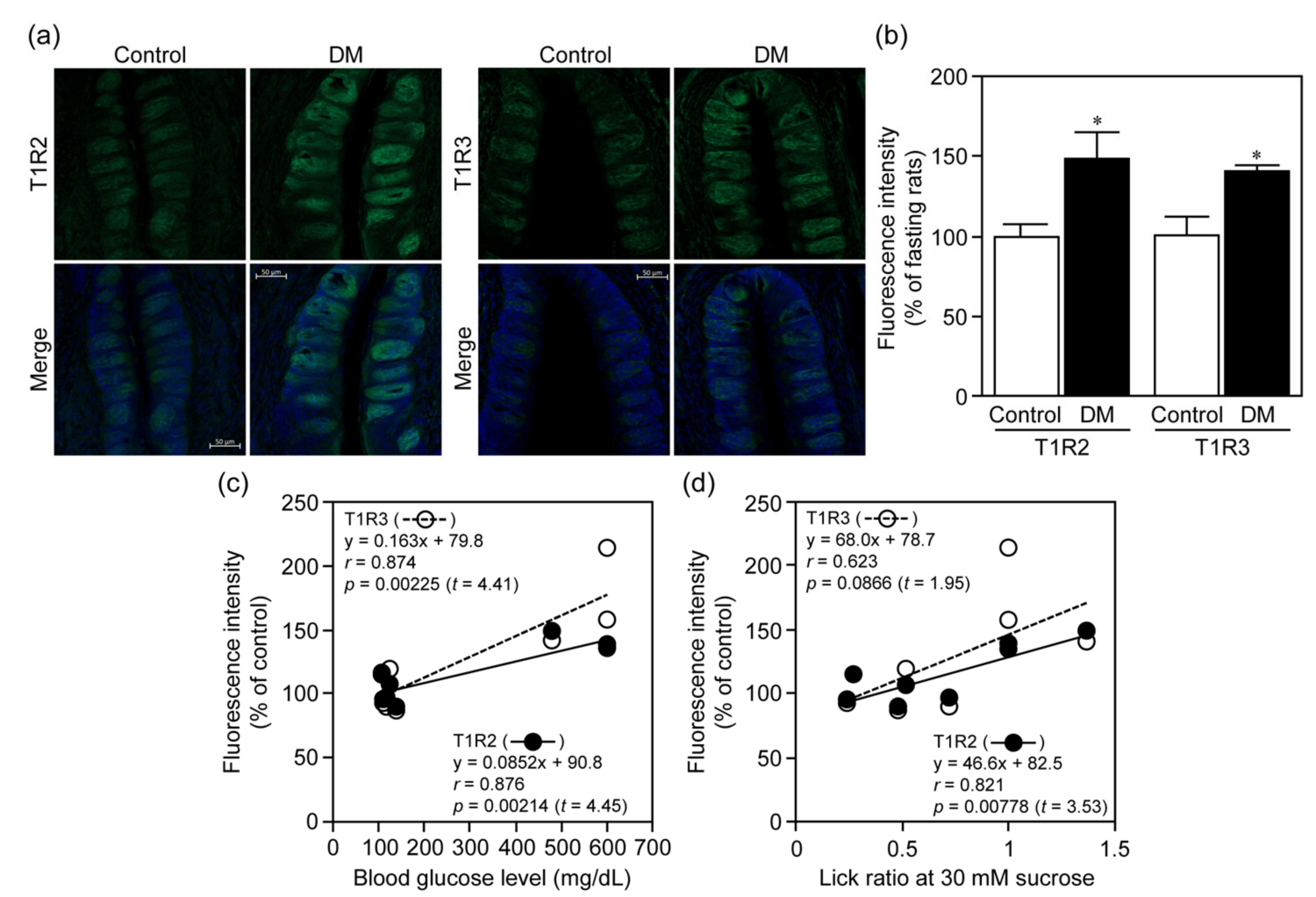 Nutrients 12 00990 g005 Nutrients 12 00990 g005