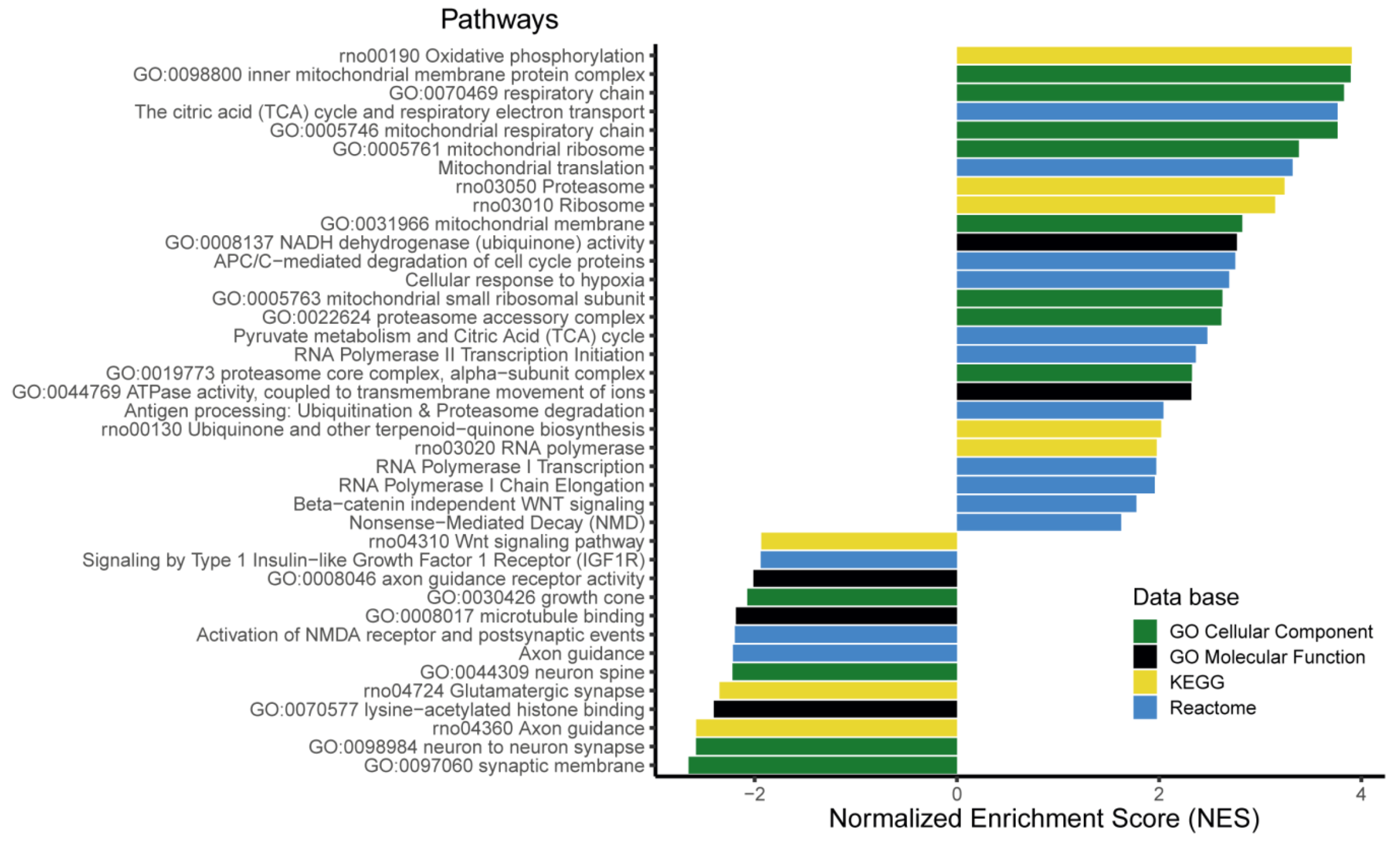 Nutrients 12 01464 g004