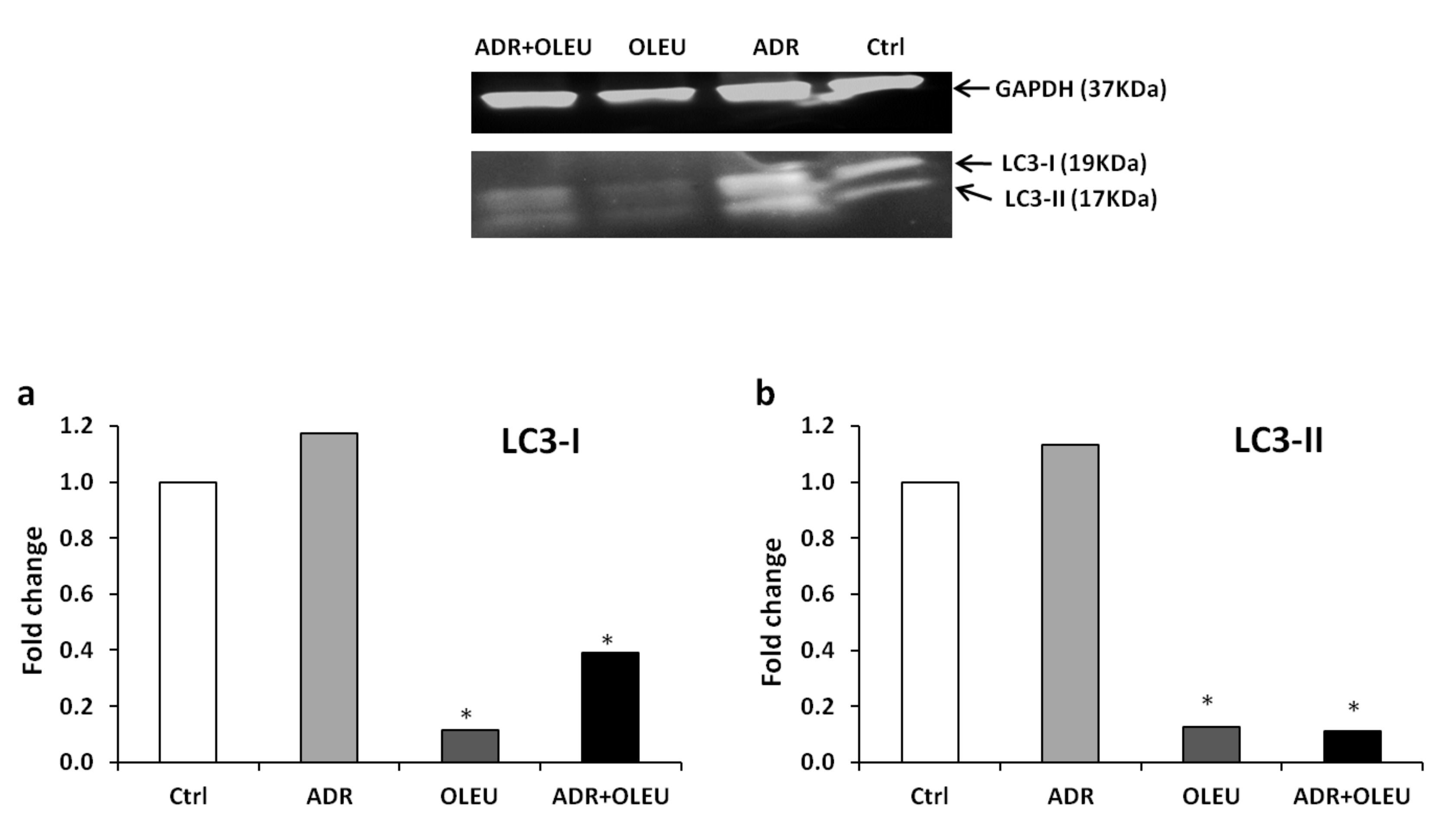 Nutrients 13 00354 g004