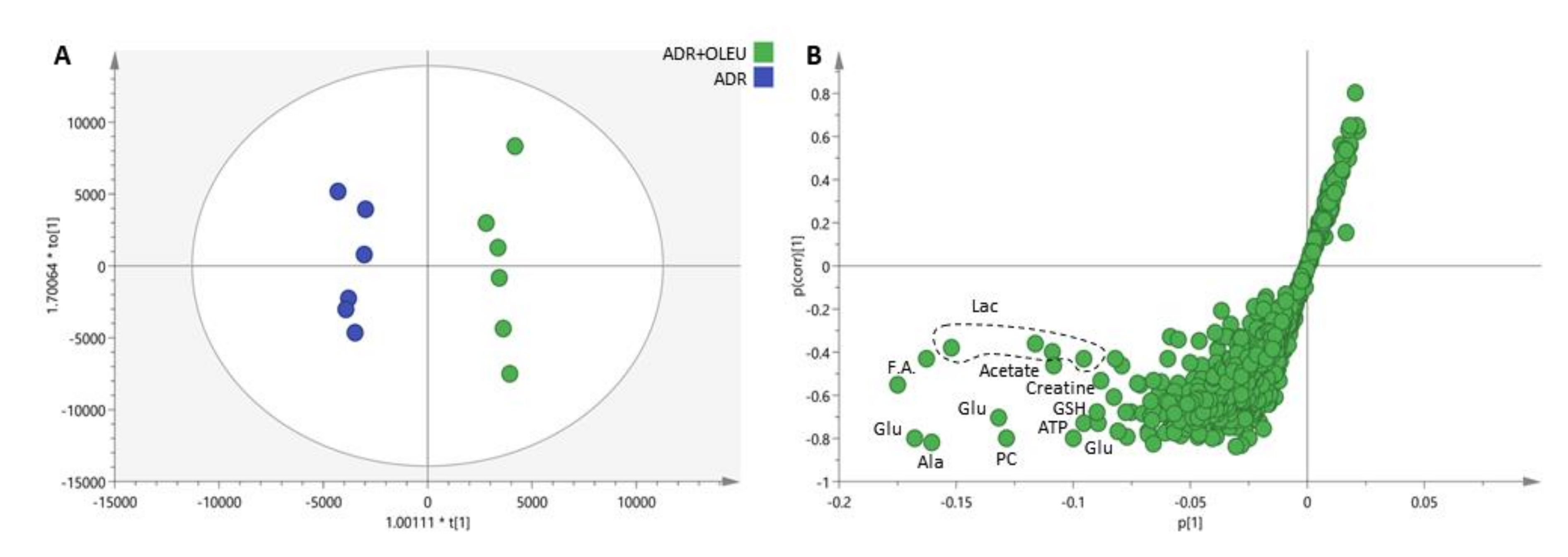 Nutrients 13 00354 g007