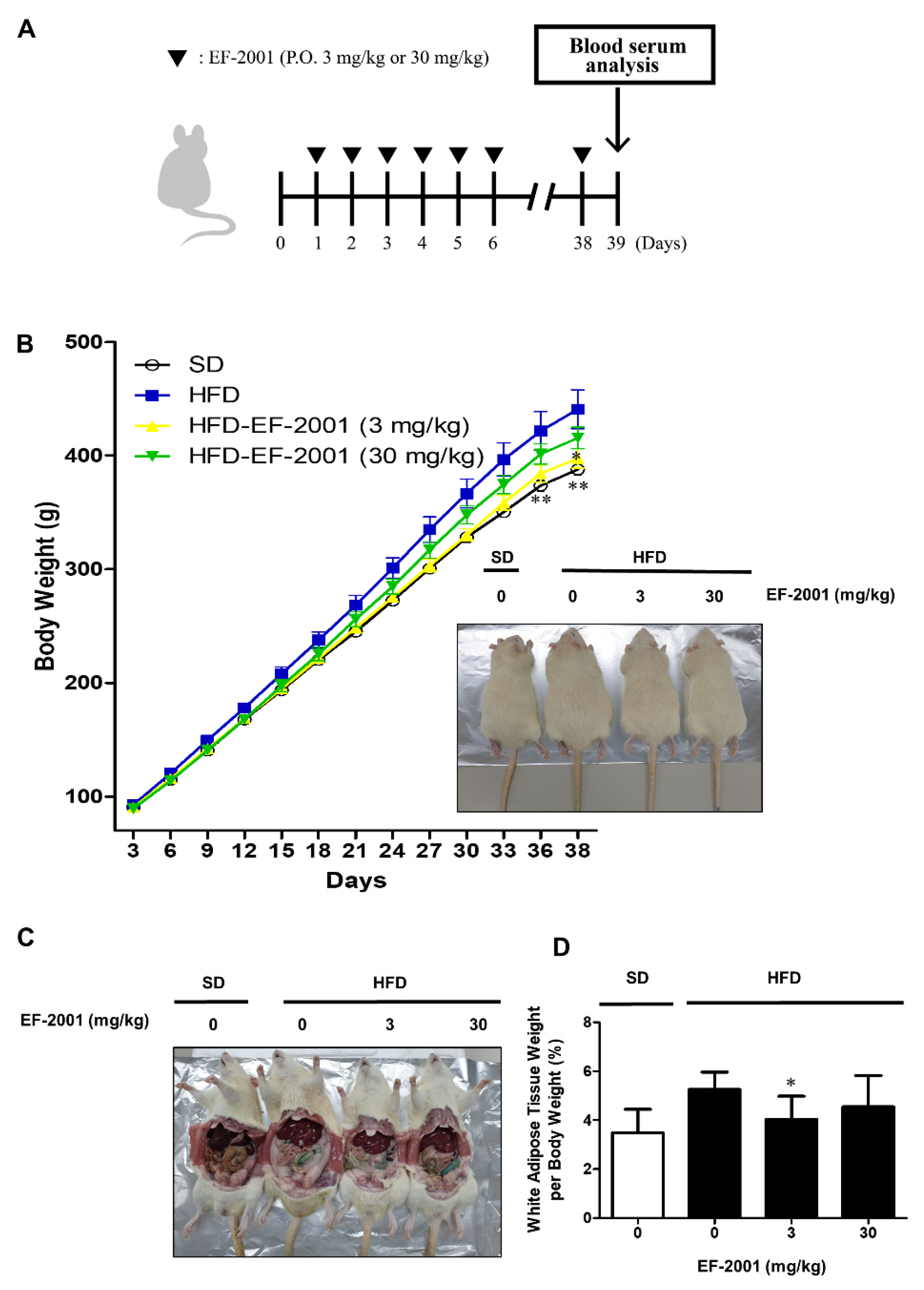 Nutrients 14 01308 g001