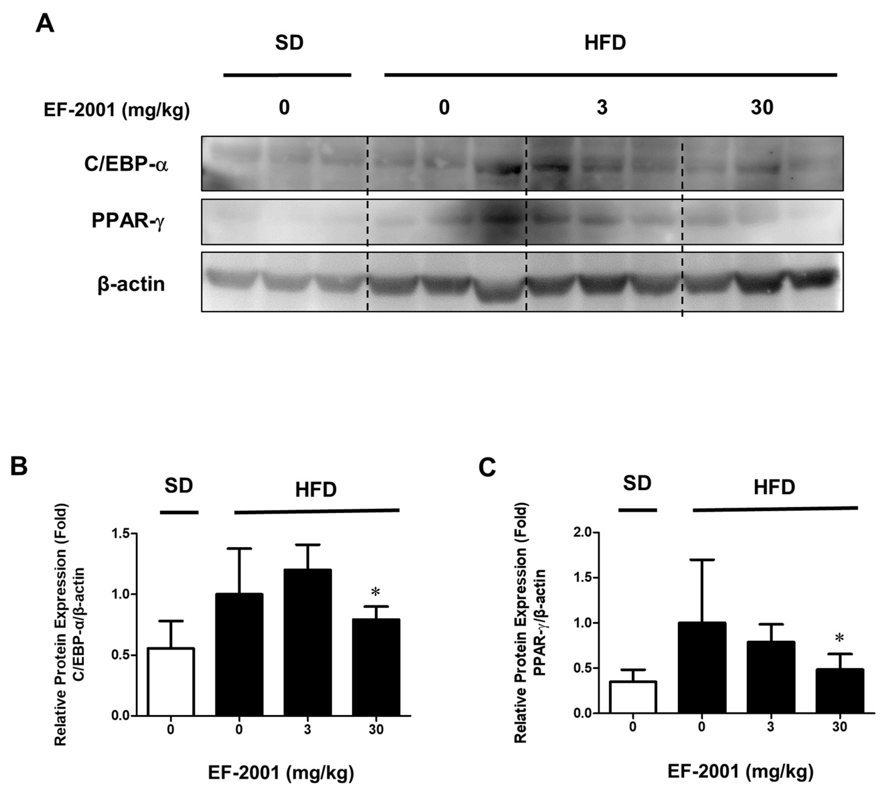 Nutrients 14 01308 g007