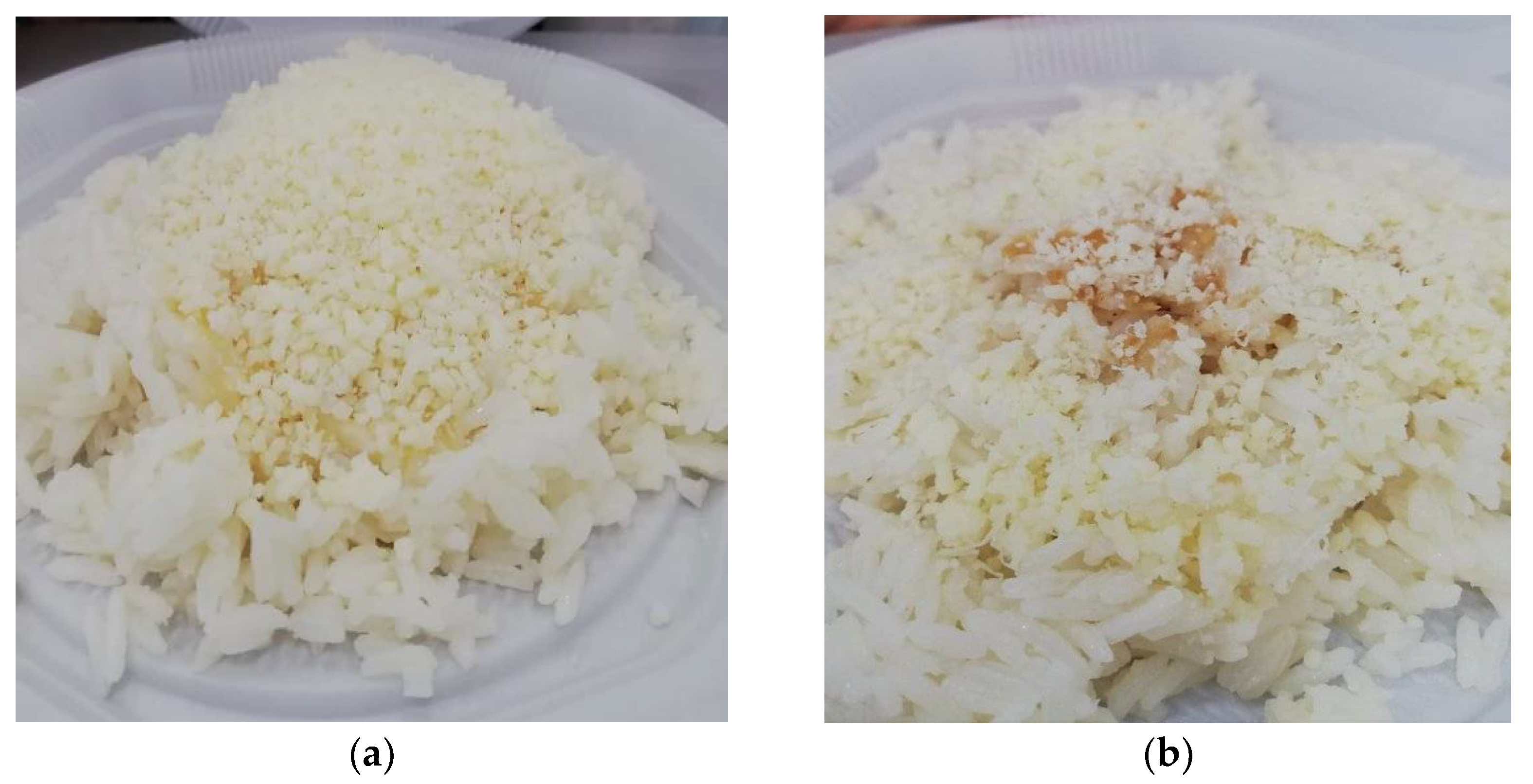 Nutrients 14 01316 g001