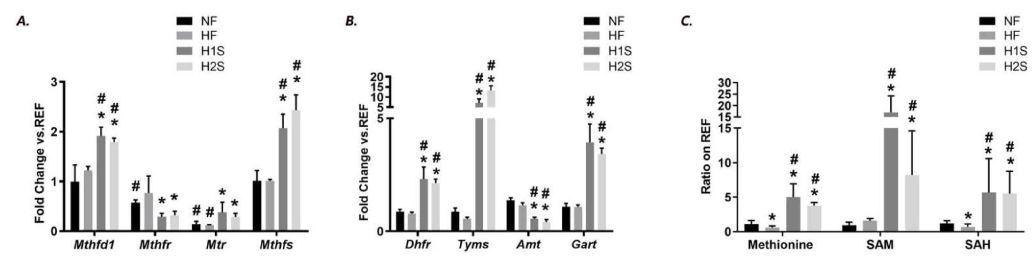 Nutrients 14 02545 g002