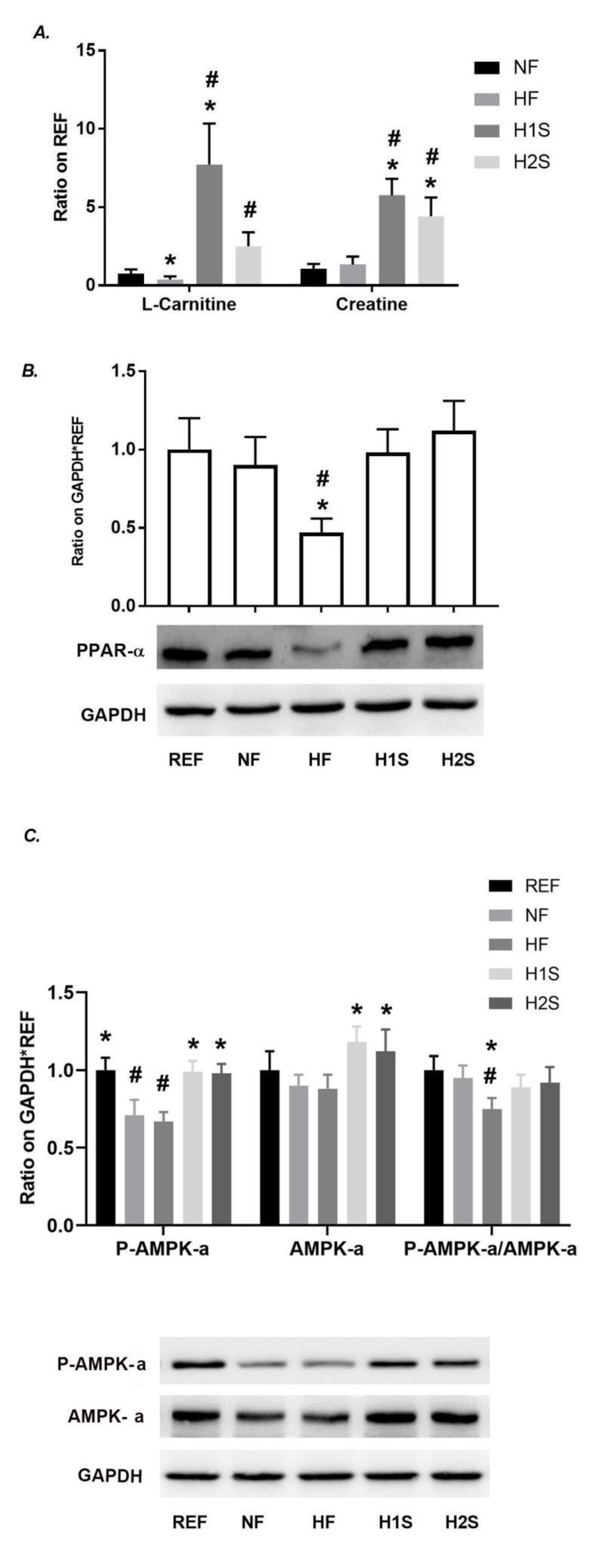 Nutrients 14 02545 g004