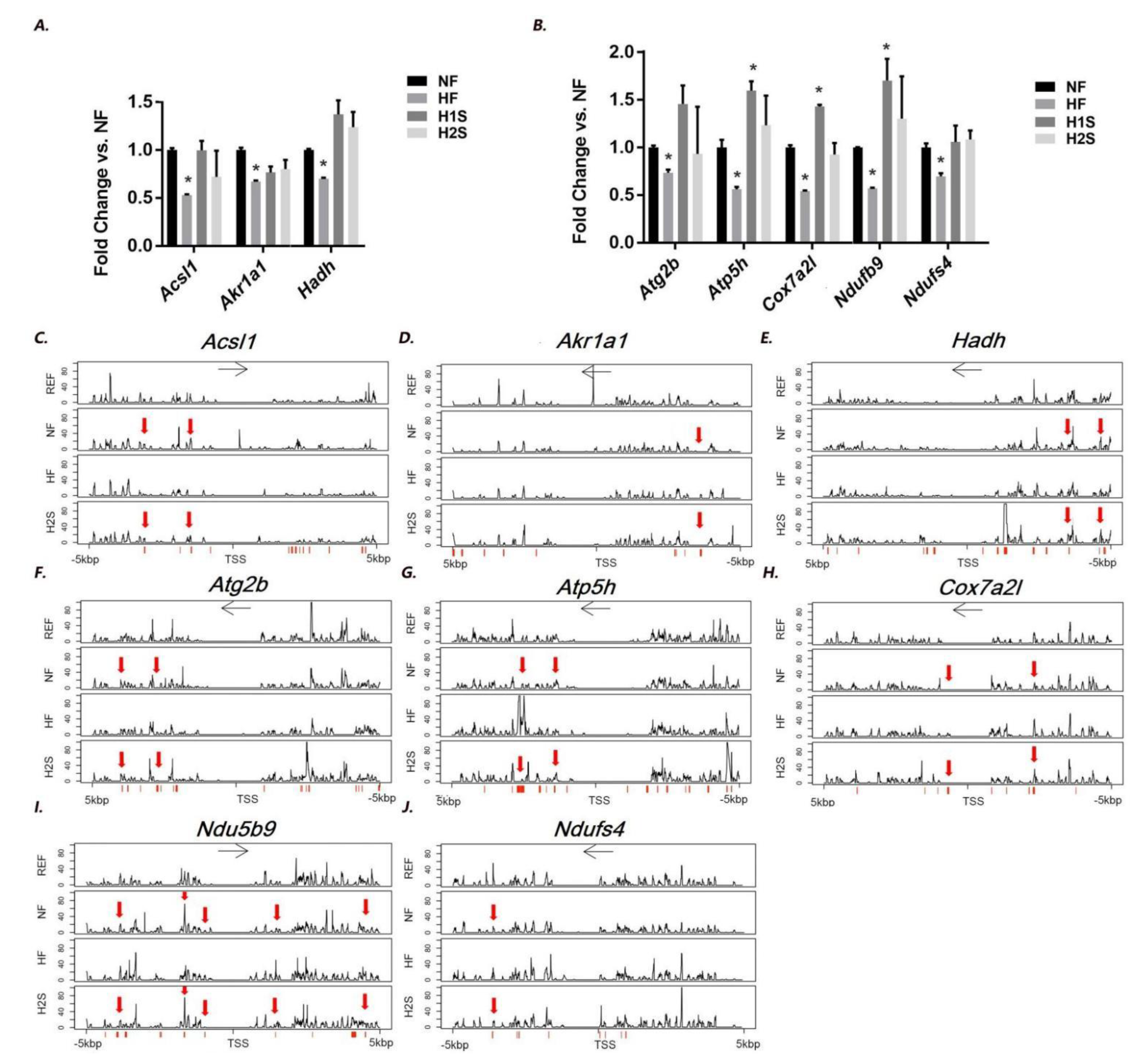 Nutrients 14 02545 g005