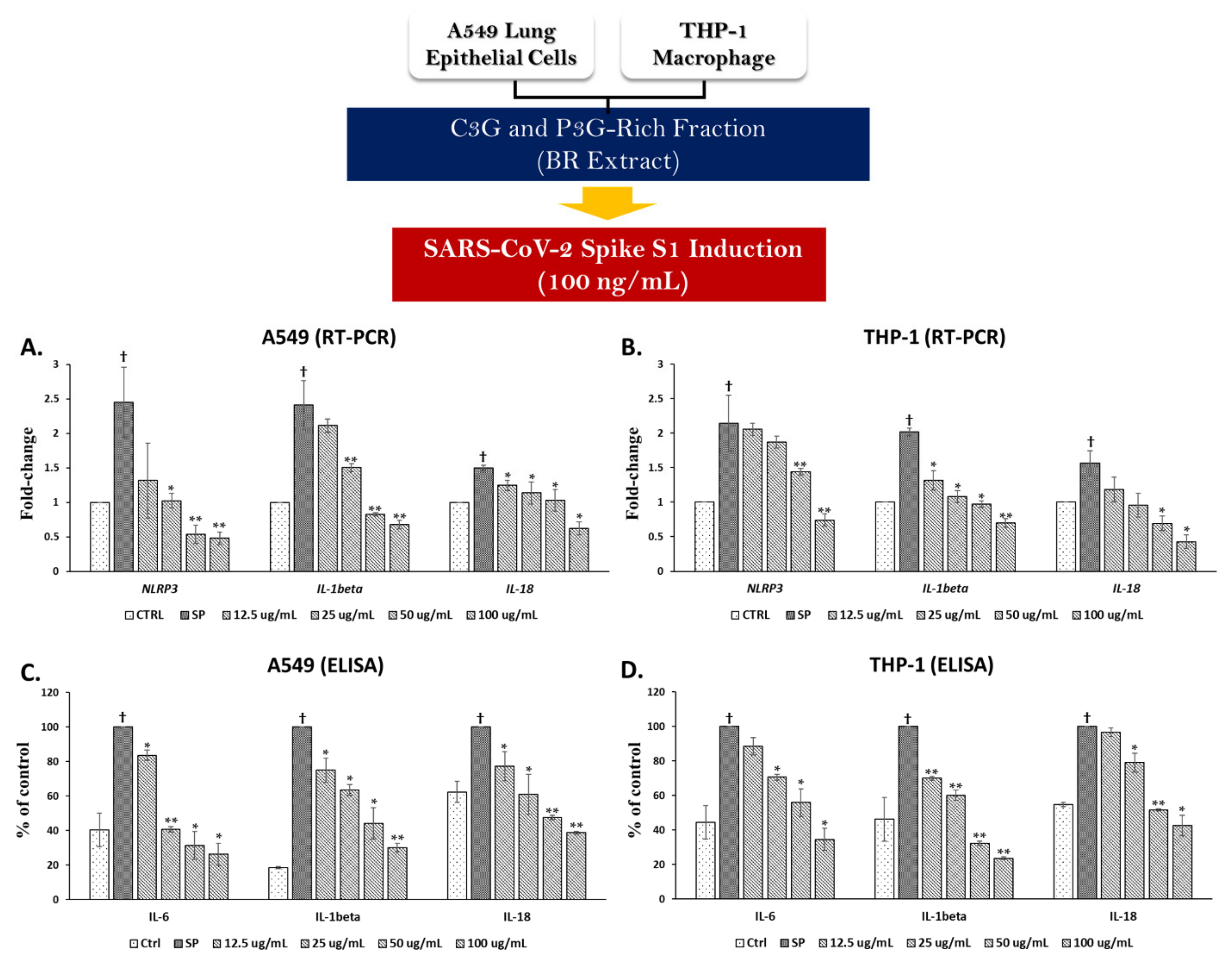 Nutrients 14 02738 g004