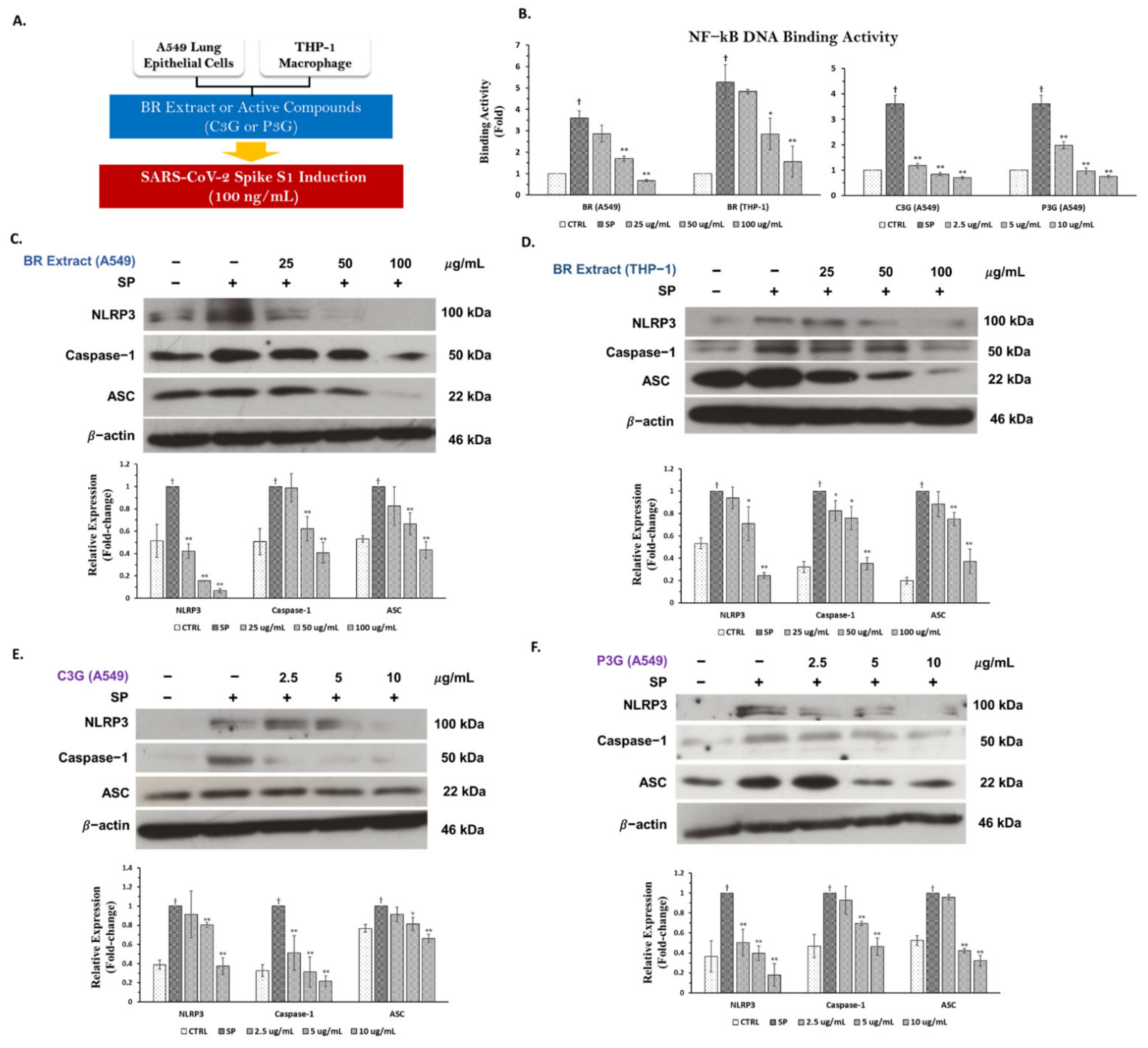 Nutrients 14 02738 g007