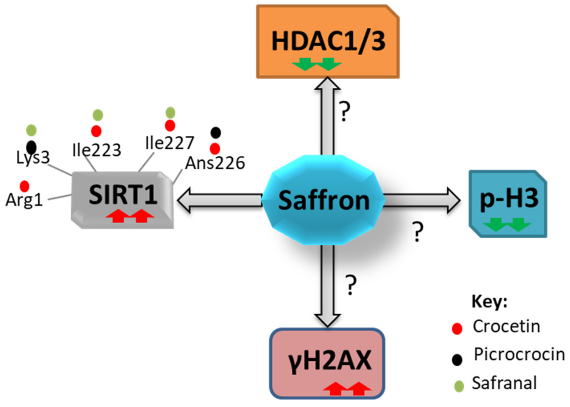 Nutrients 14 03317 g002