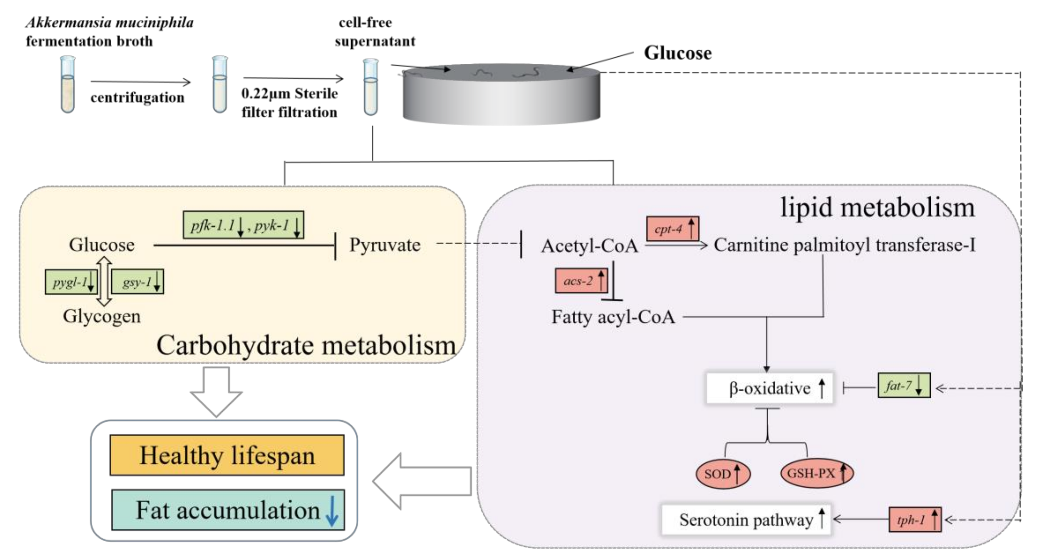 Nutrients 15 01725 g006