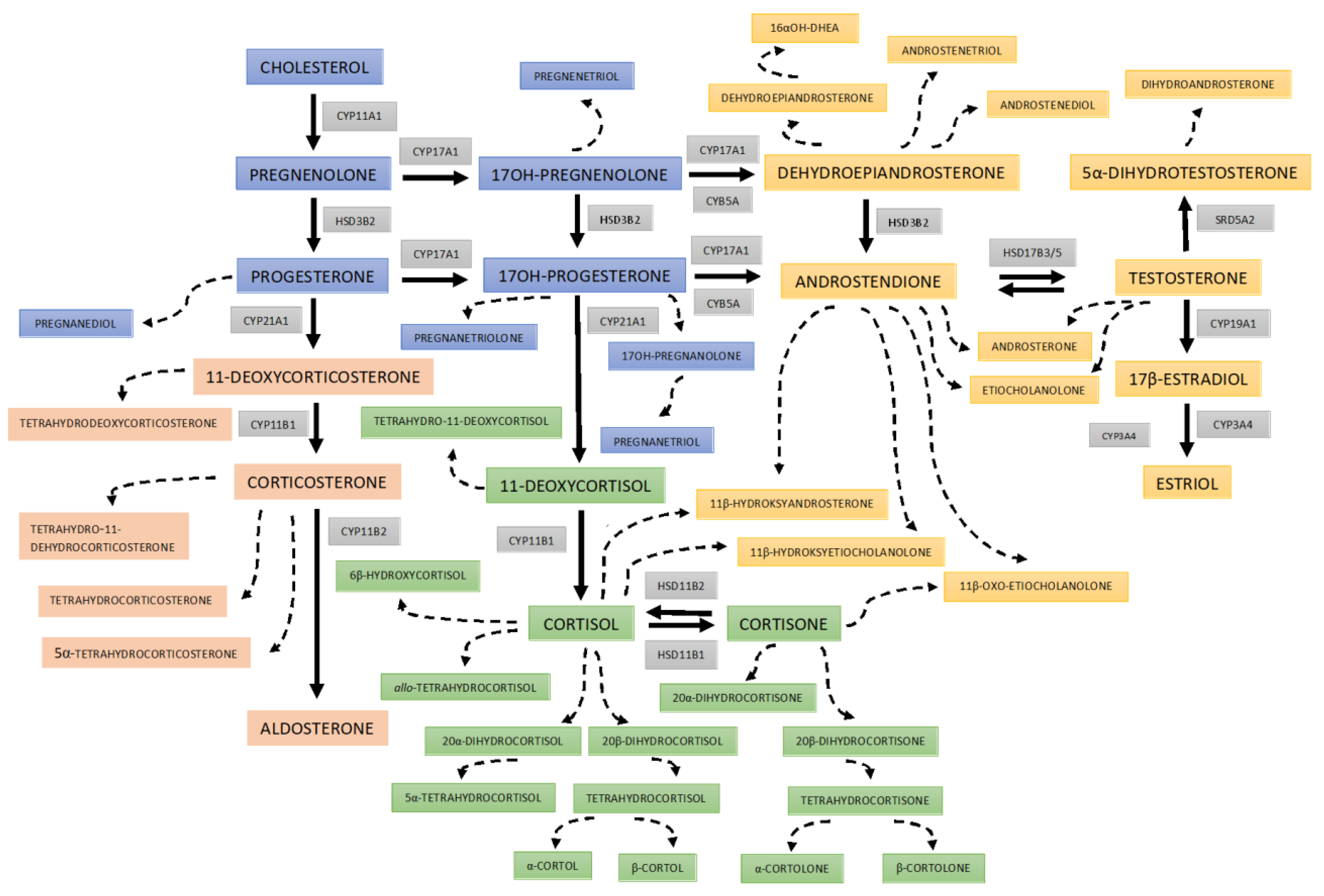 Nutrients 15 01734 g001