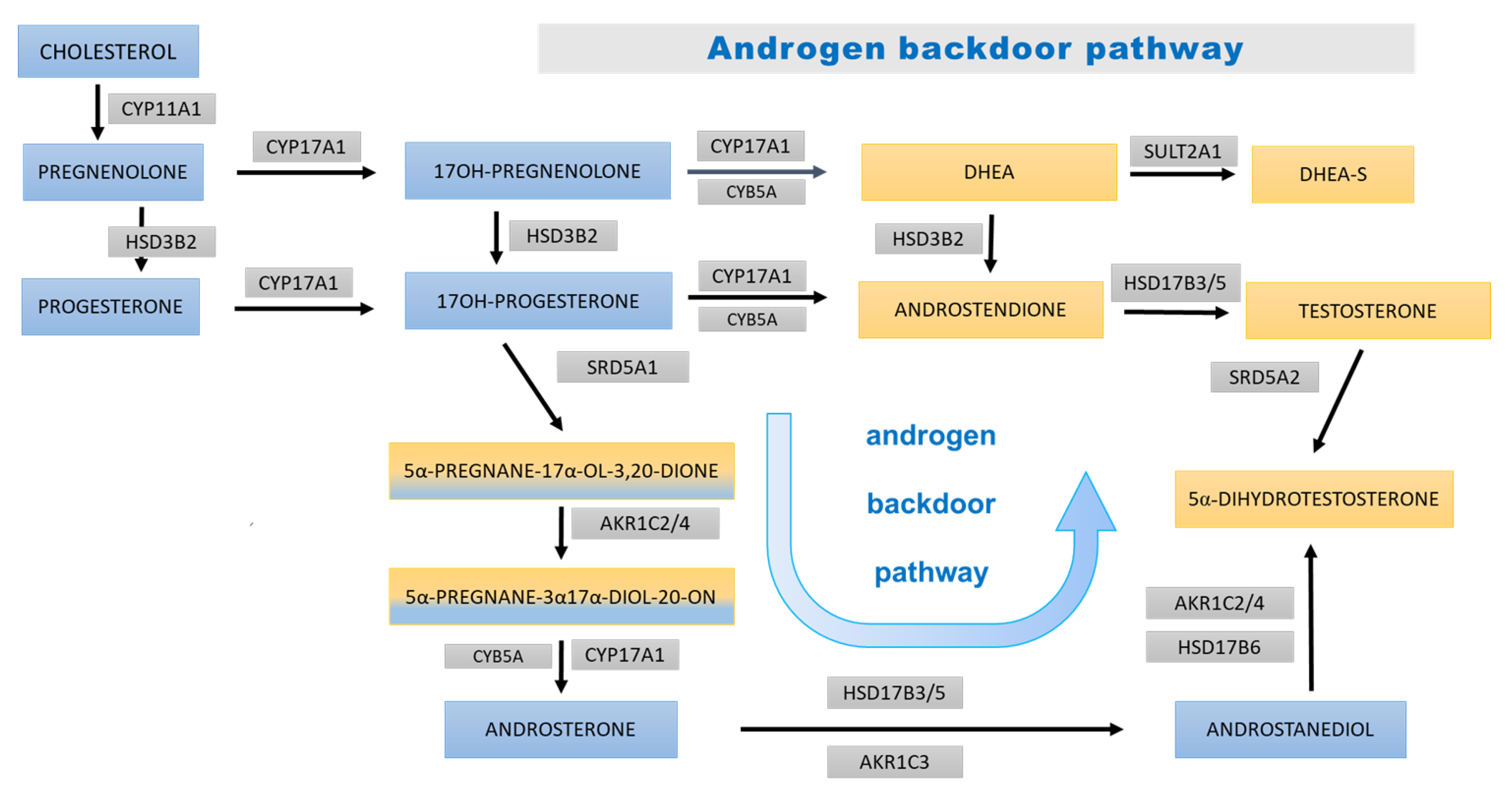 Nutrients 15 01734 g006