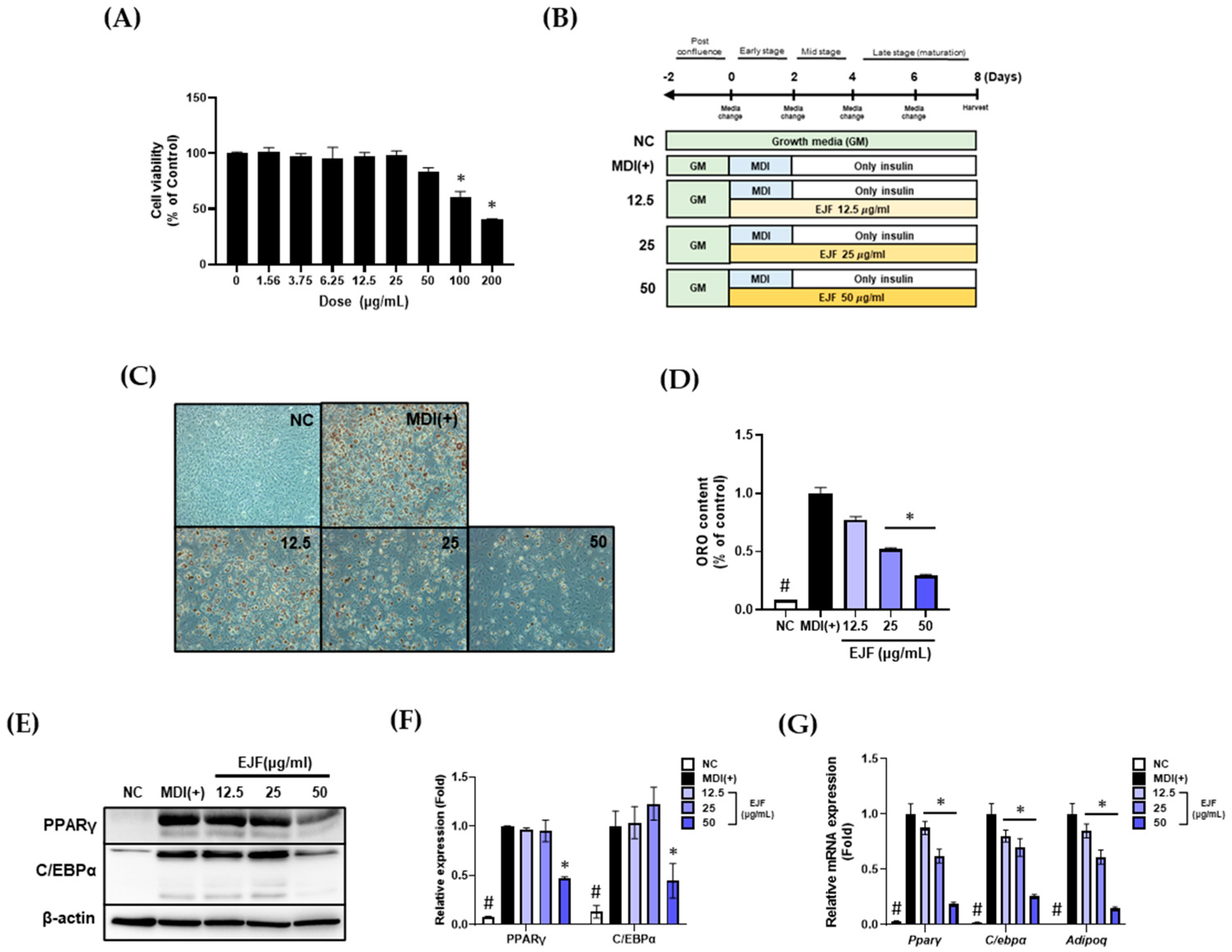 Nutrients 15 03078 g001