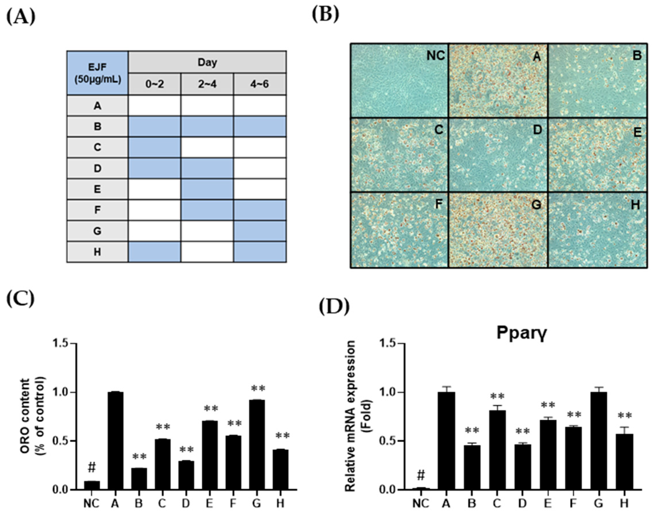 Nutrients 15 03078 g002