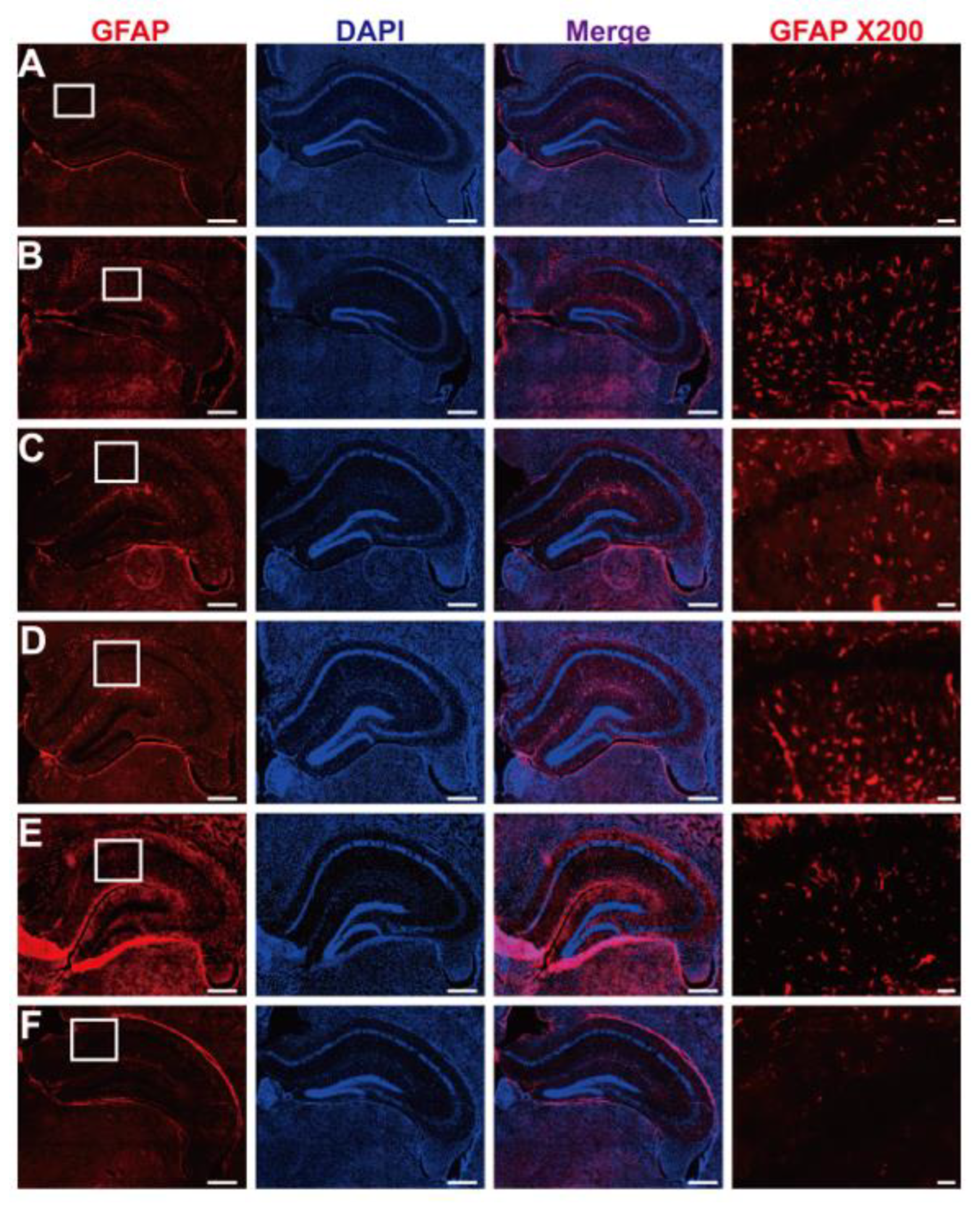 Nutrients 15 03389 g011
