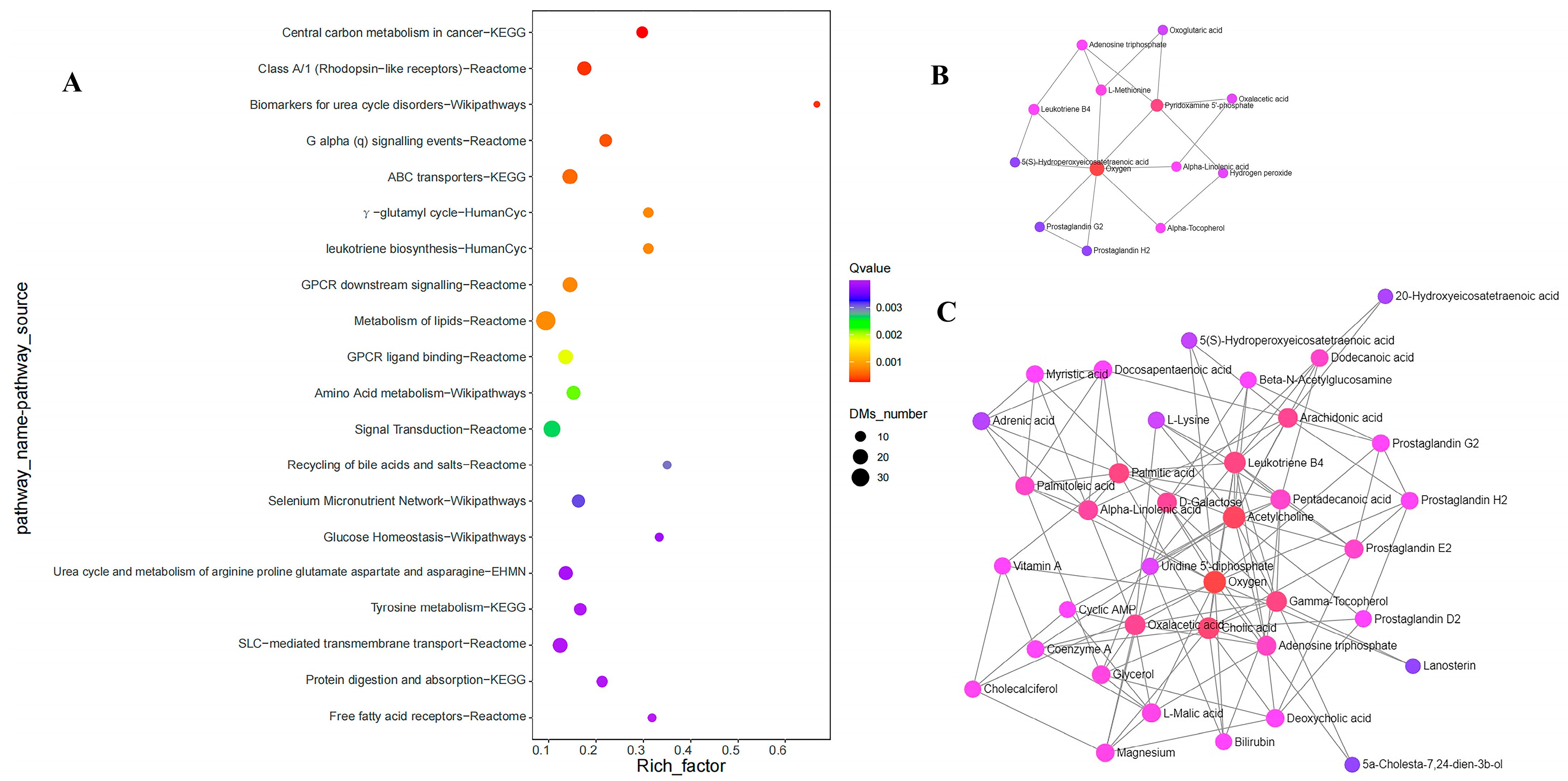 Nutrients 15 04651 g003