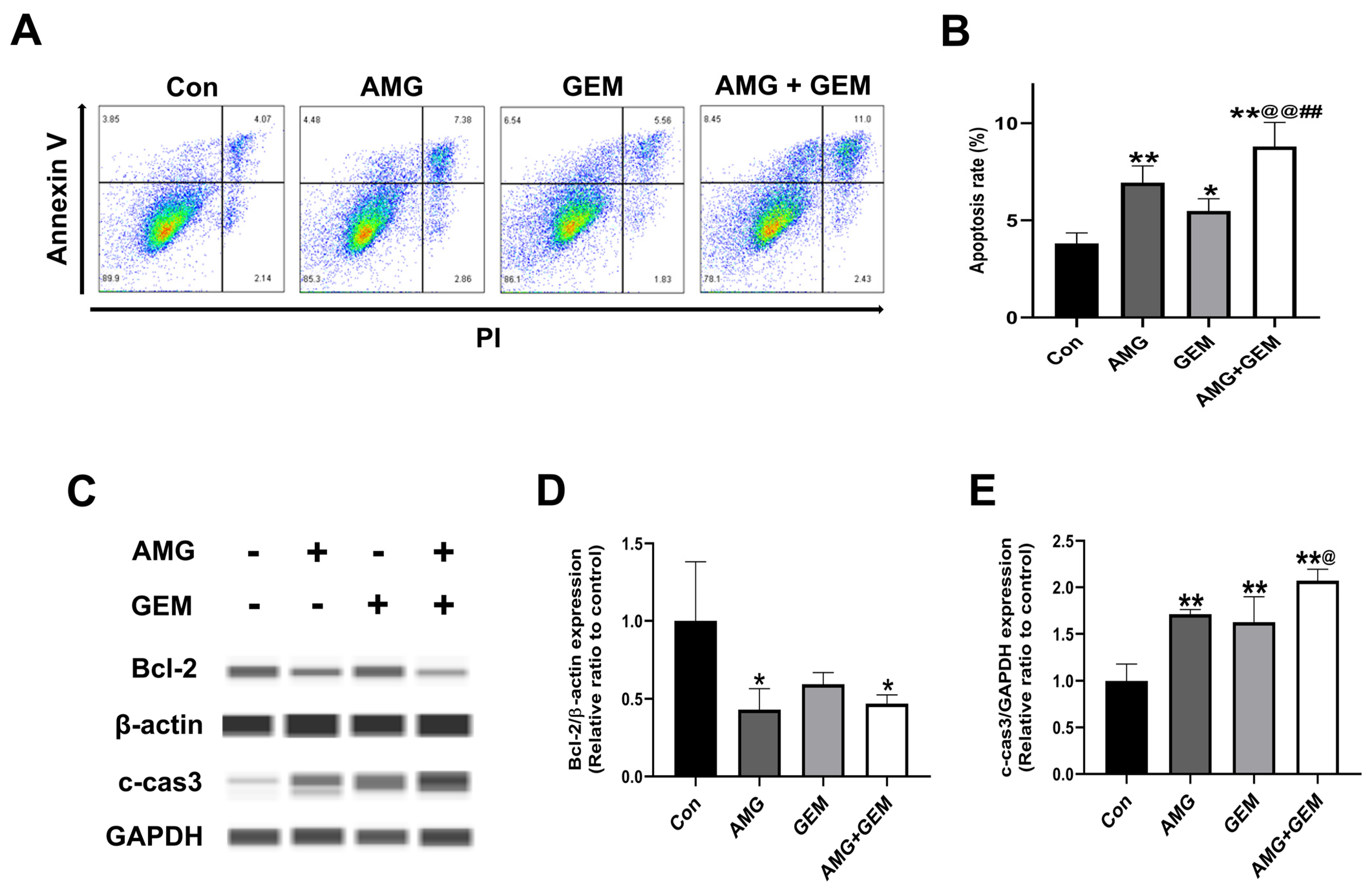 Nutrients 16 00073 g002