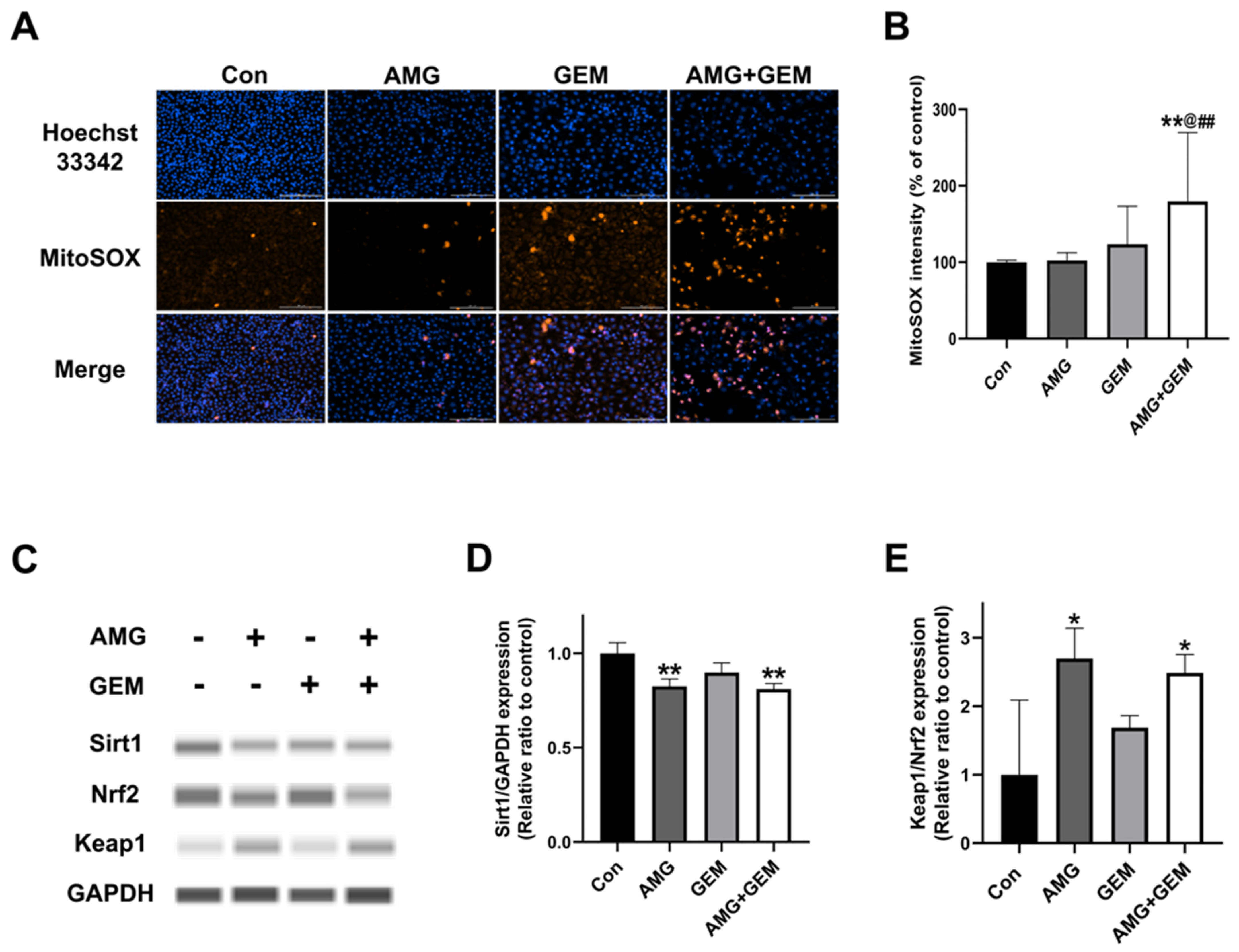 Nutrients 16 00073 g005