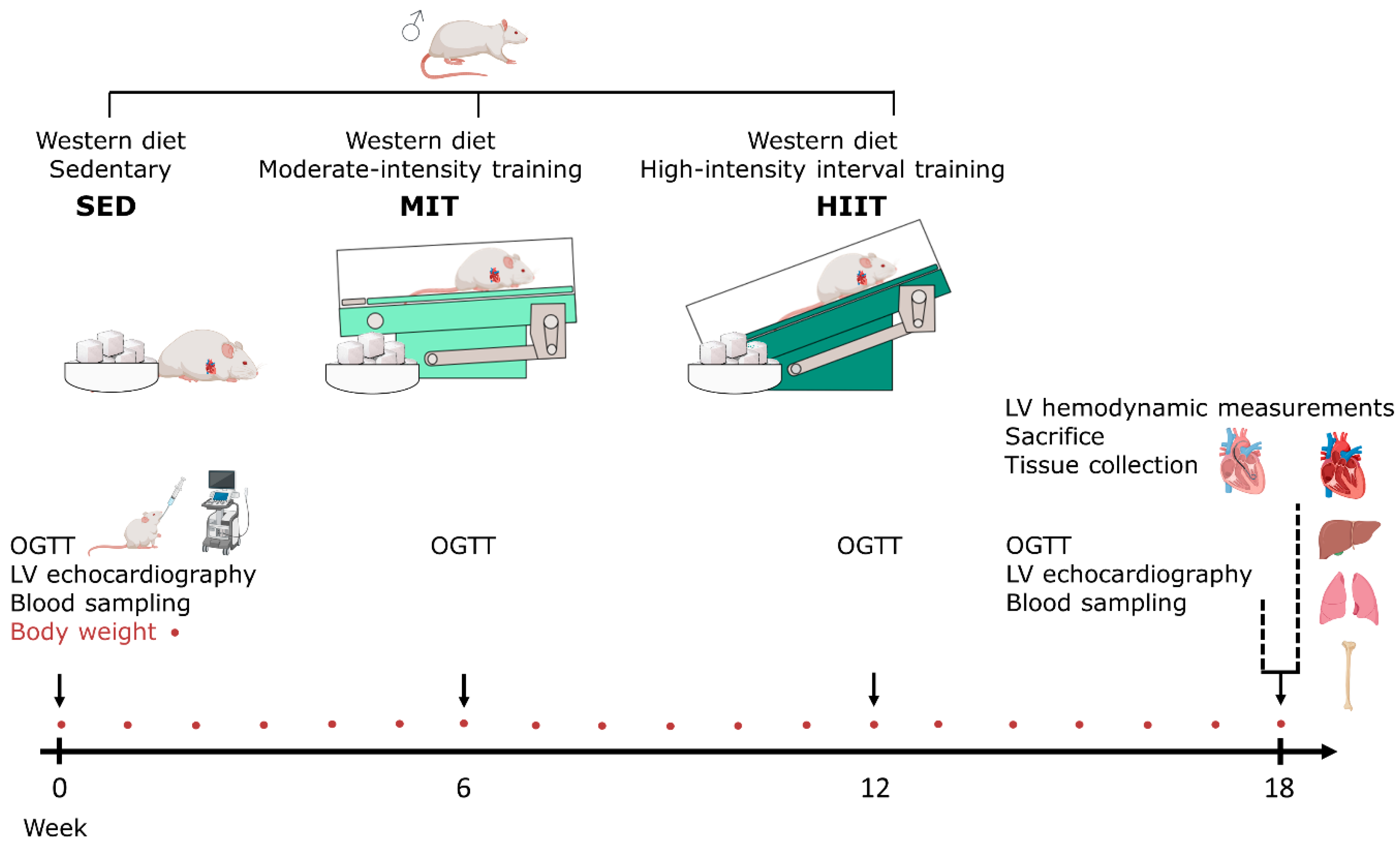 Nutrients 16 00431 g001