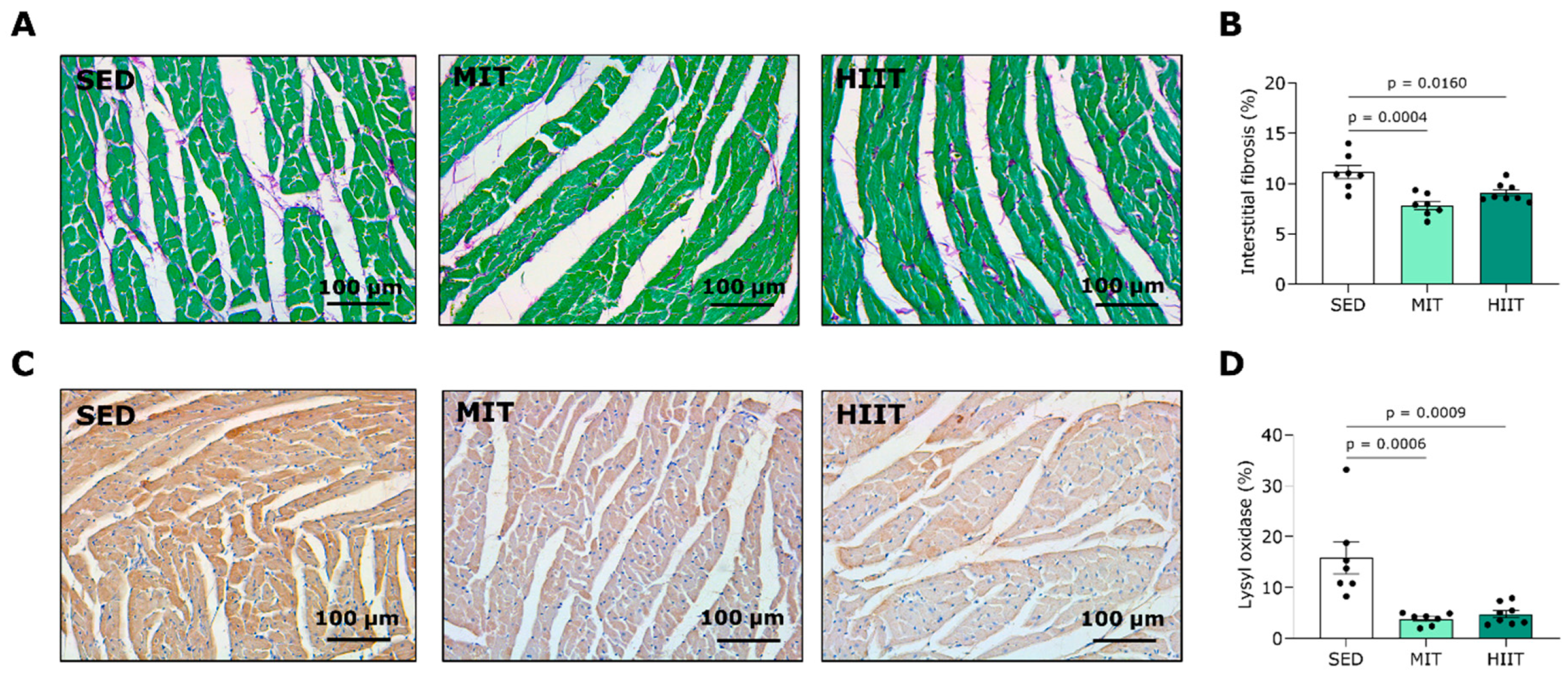 Nutrients 16 00431 g004
