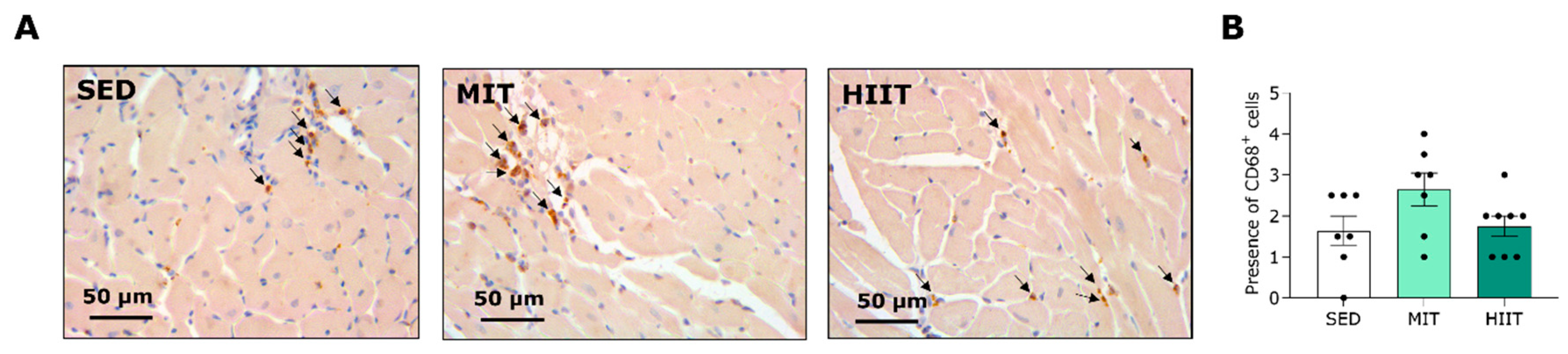 Nutrients 16 00431 g006a